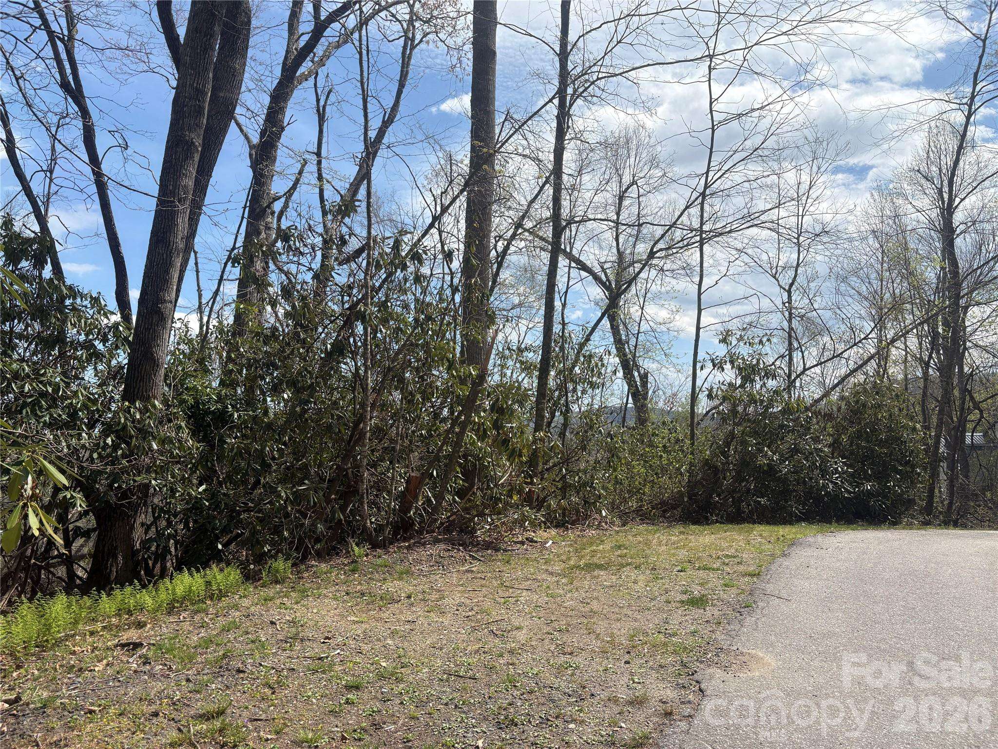 TBD Swiss Pine Lake DR #117, Spruce Pine, NC 28777