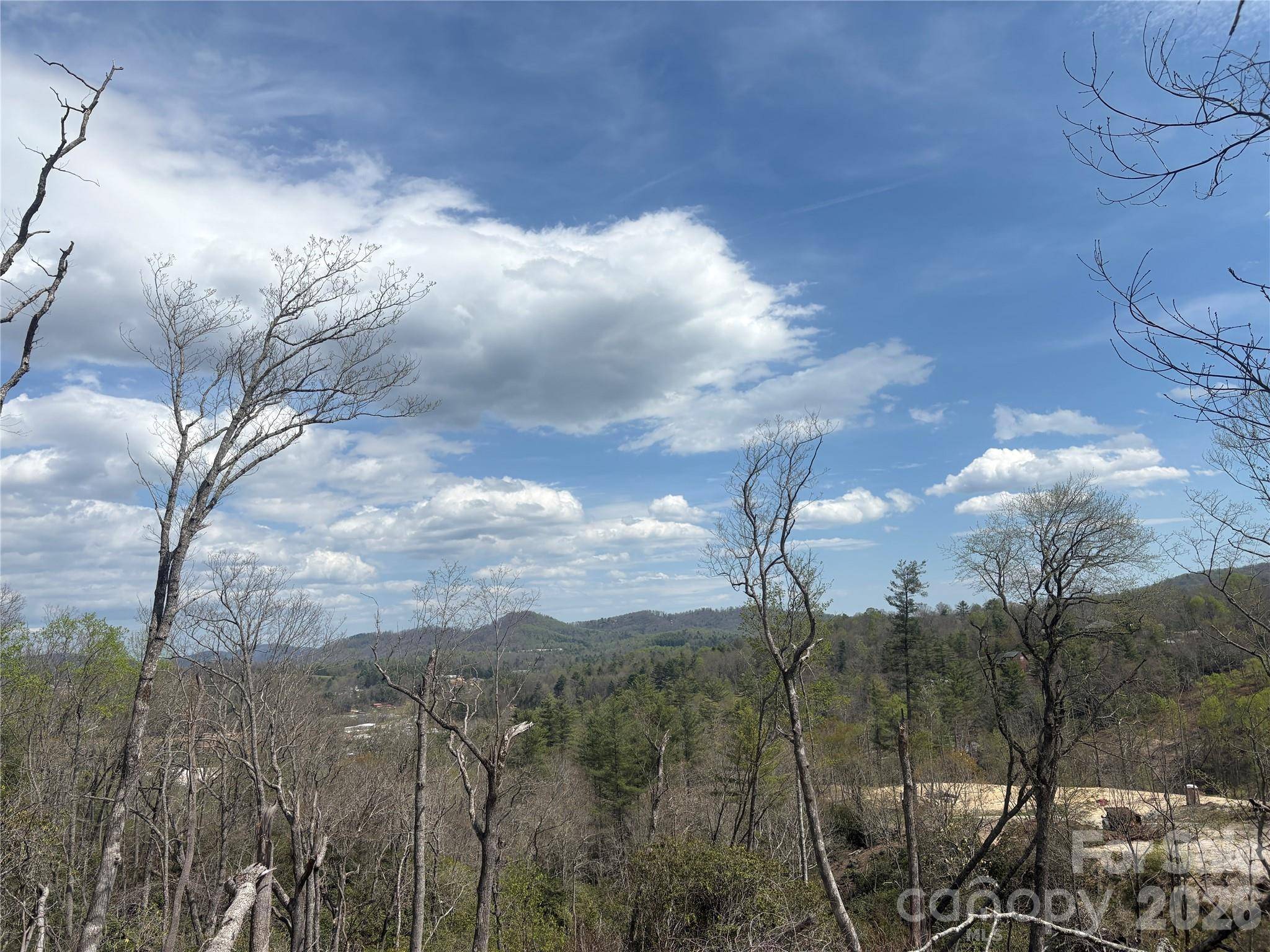 TBD Swiss Pine Lake DR #117, Spruce Pine, NC 28777