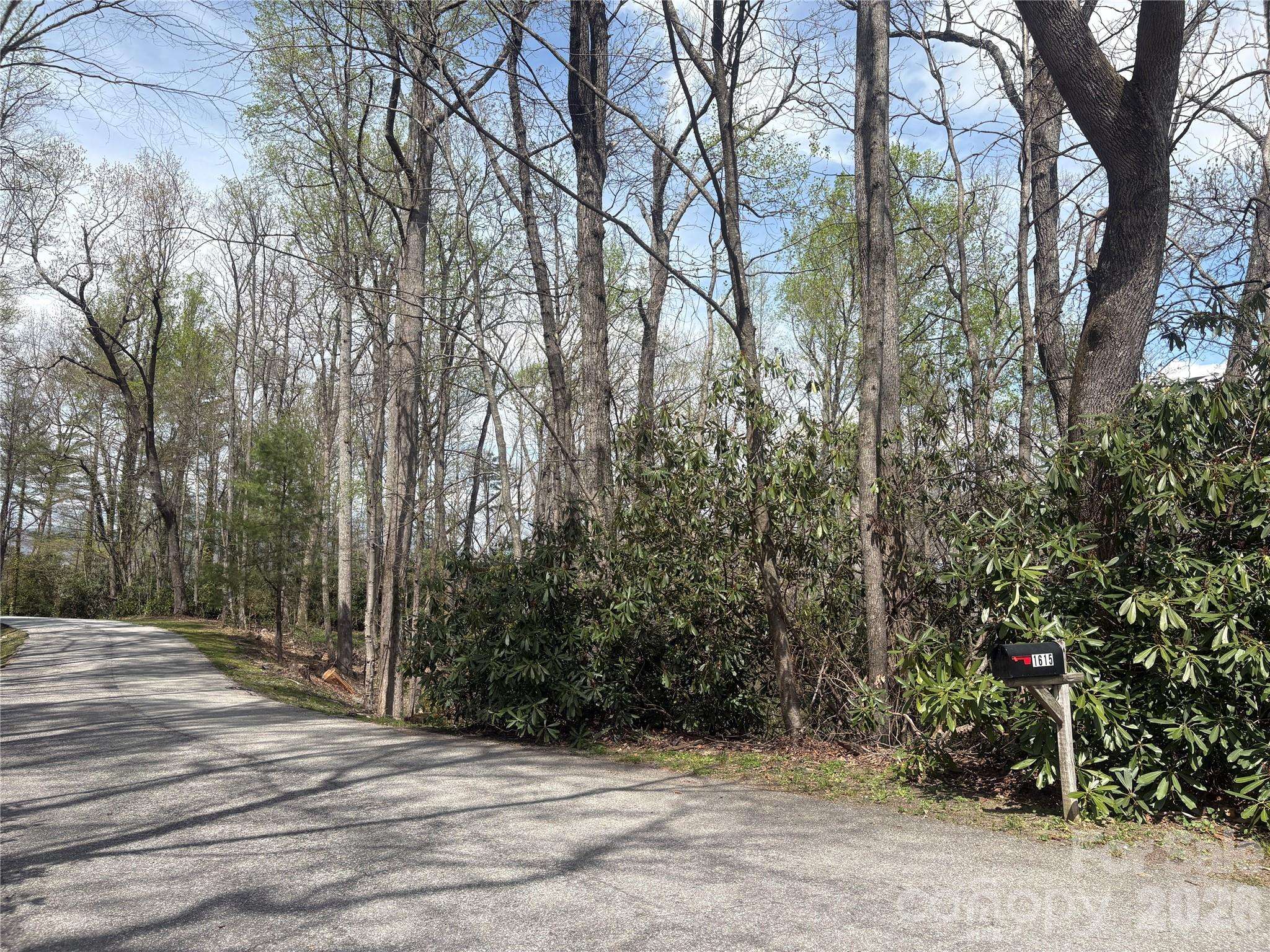 TBD Swiss Pine Lake DR #117, Spruce Pine, NC 28777
