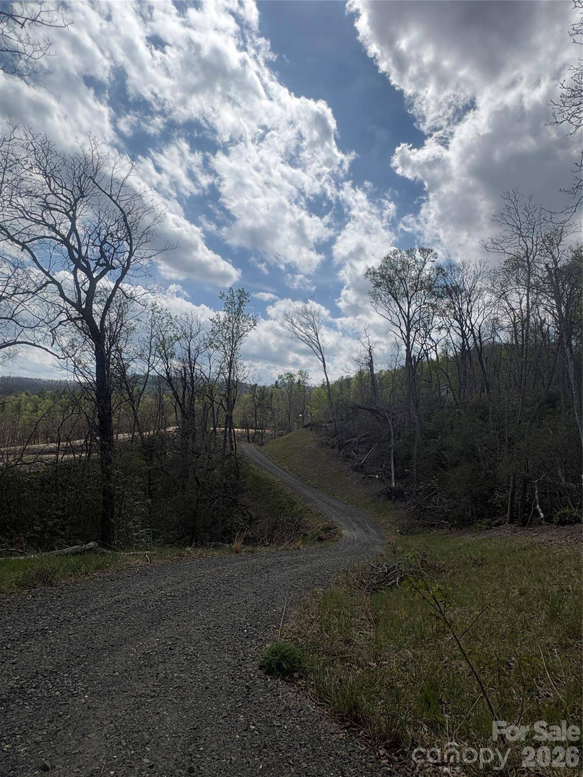 TBD Swiss Pine Lake DR #117, Spruce Pine, NC 28777
