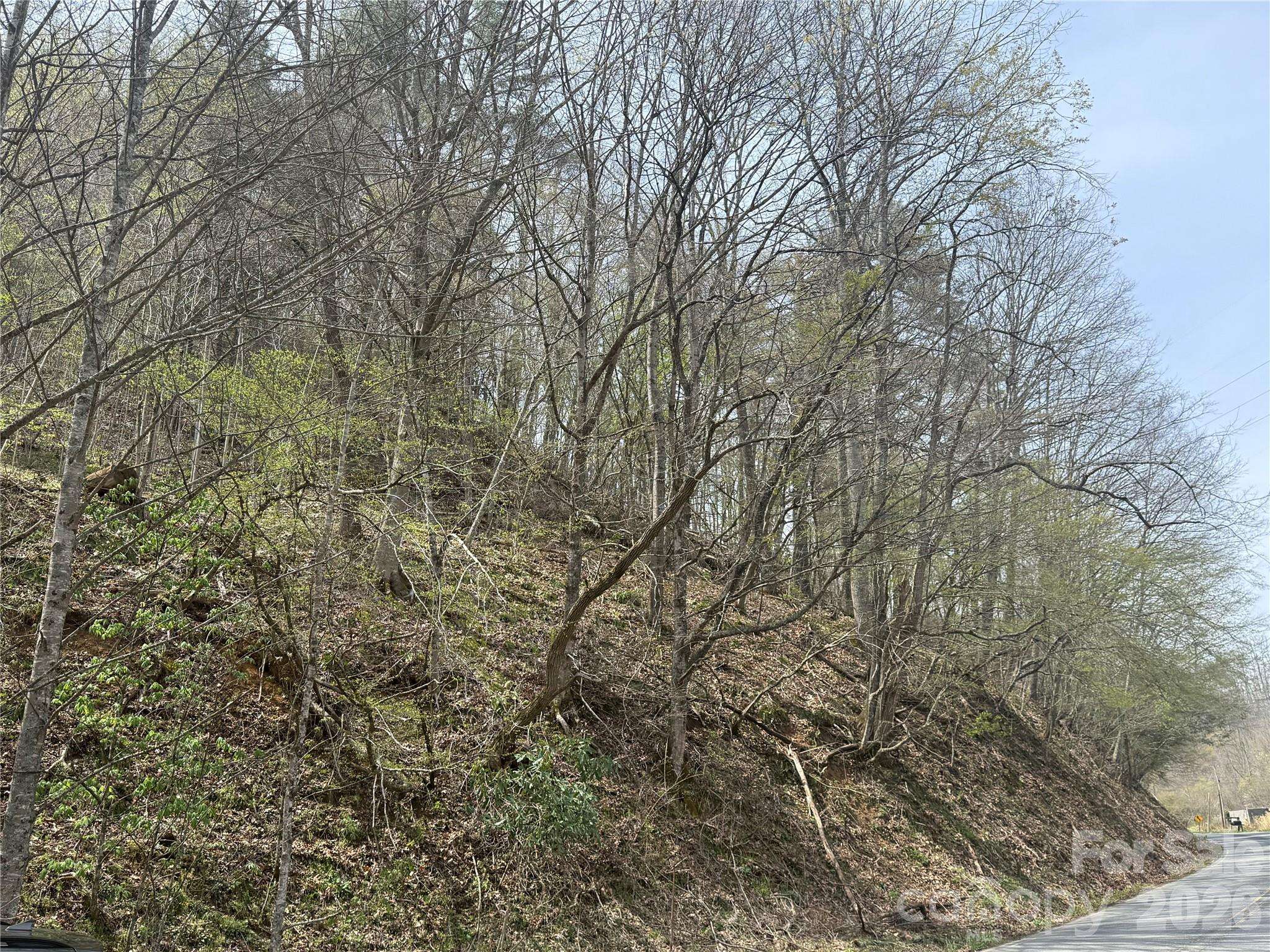 0 HORTONS CREEK RD, Burnsville, NC 28714