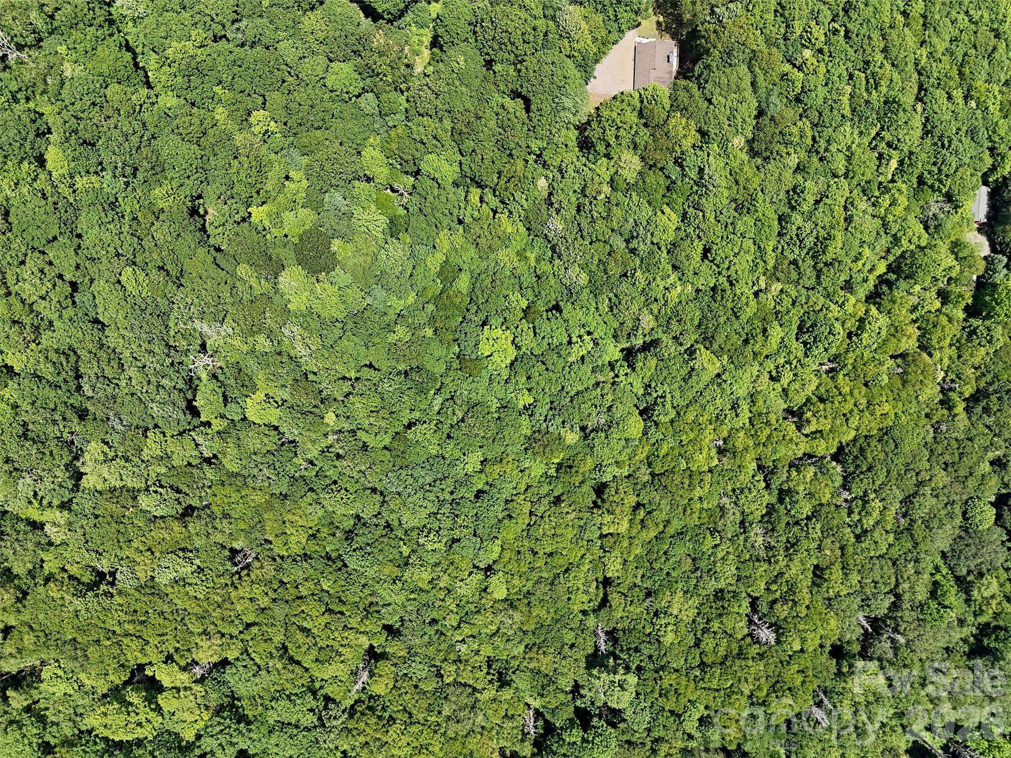 Lot #67 Spring DR, Maggie Valley, NC 28751