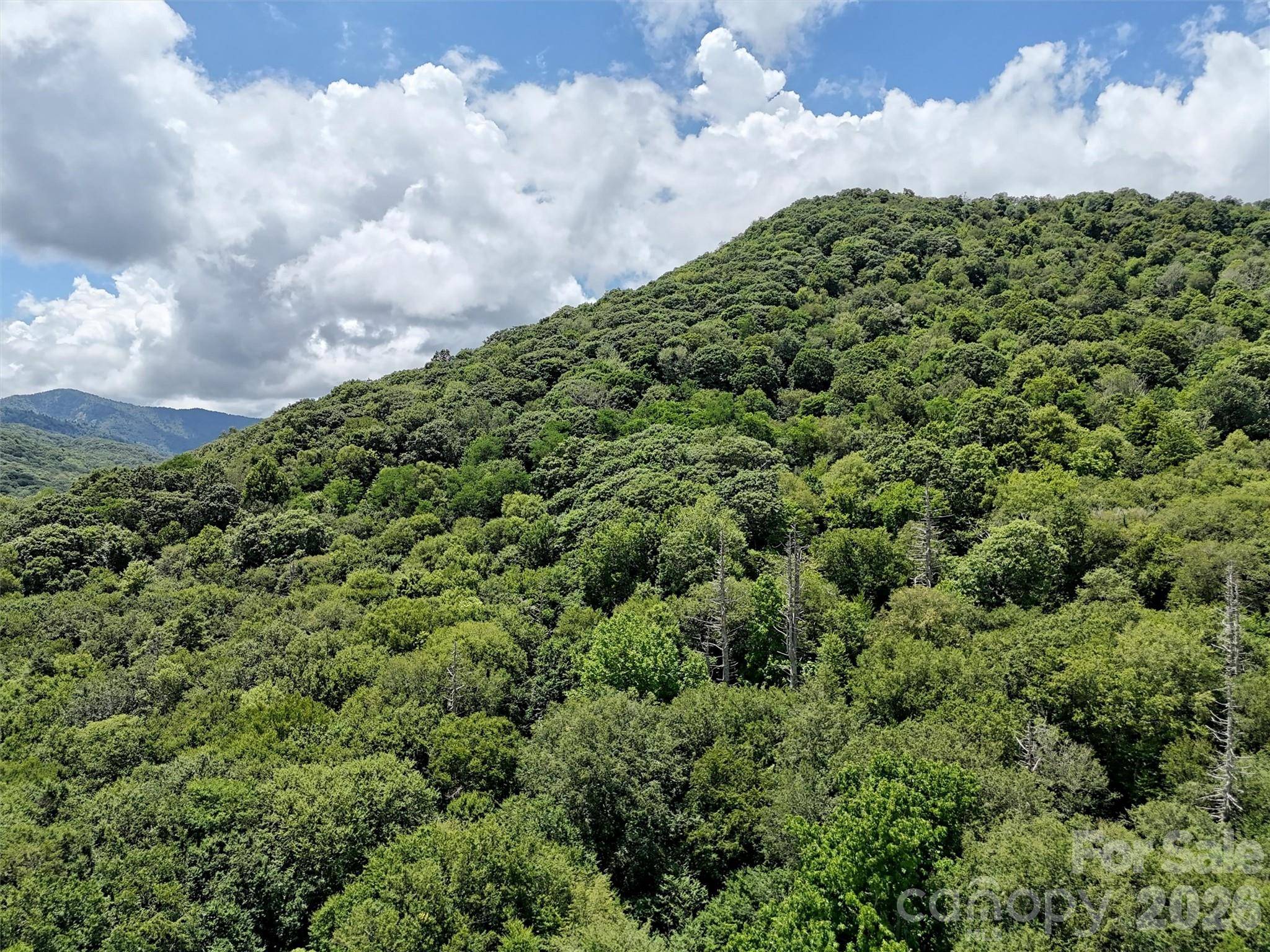 Lot #60 Yonder TRL, Maggie Valley, NC 28751
