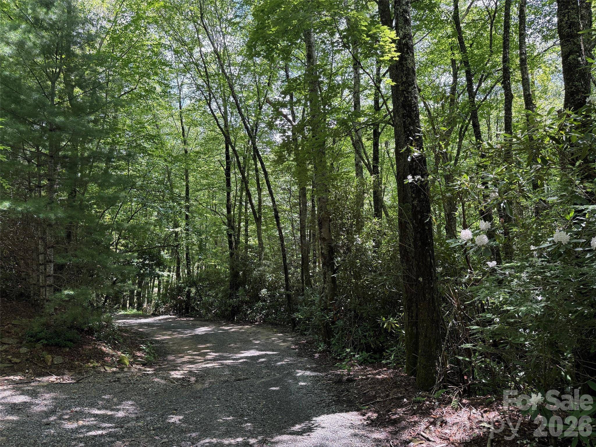 Lot #60 Yonder TRL, Maggie Valley, NC 28751