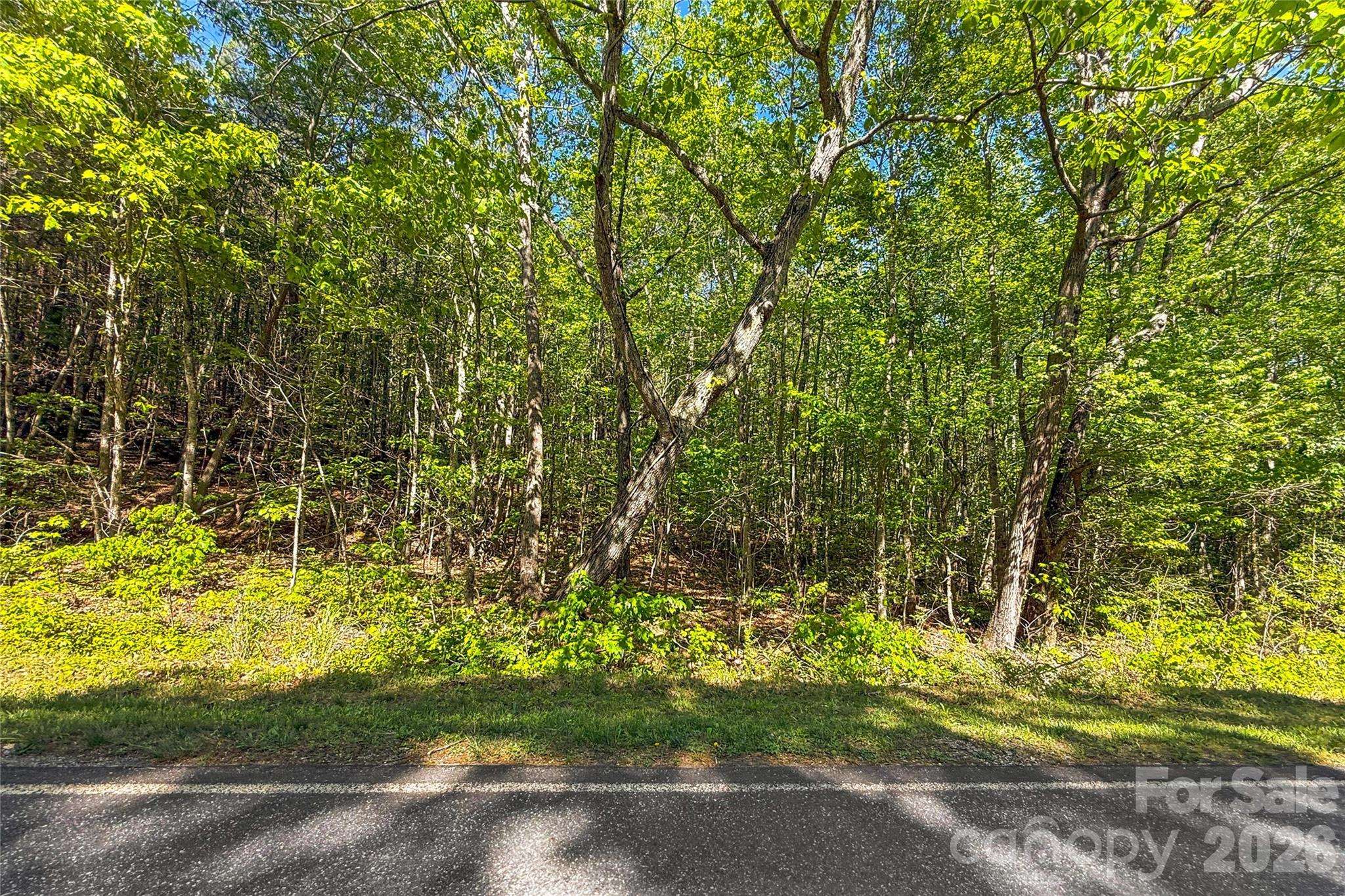 3727 Mount Beulah RD #5, Sherrills Ford, NC 28673