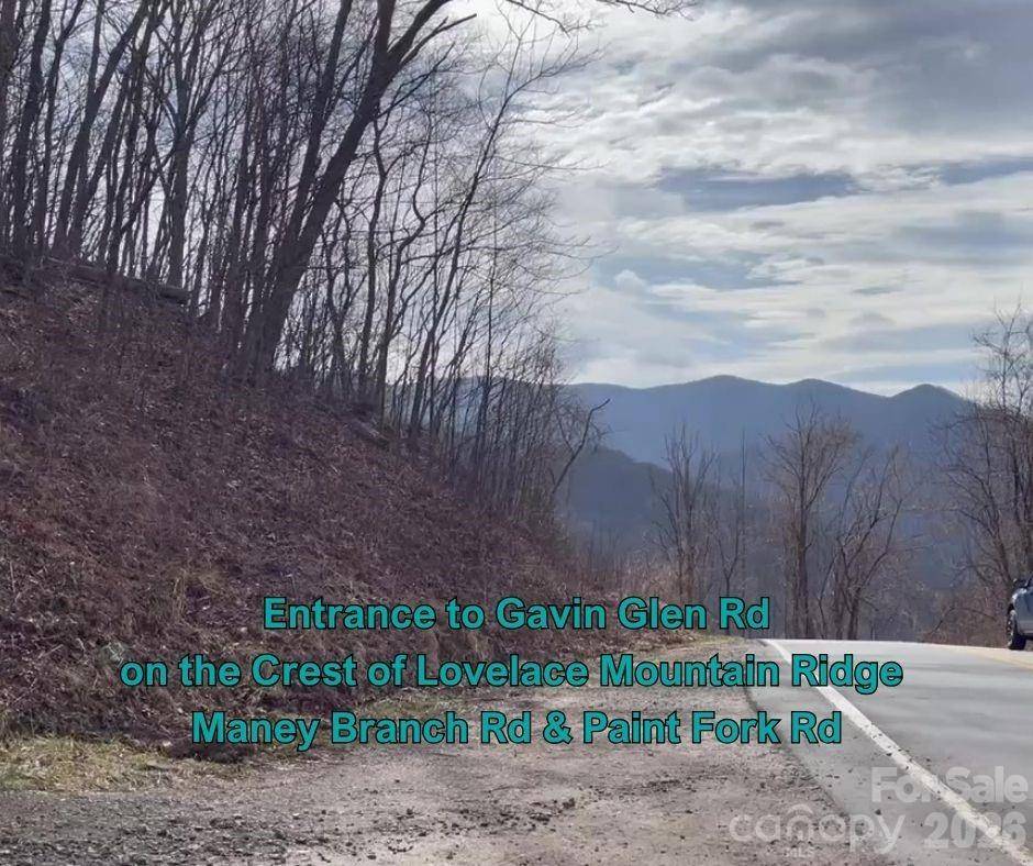 125 Gavin Glen RD, Weaverville, NC 28787
