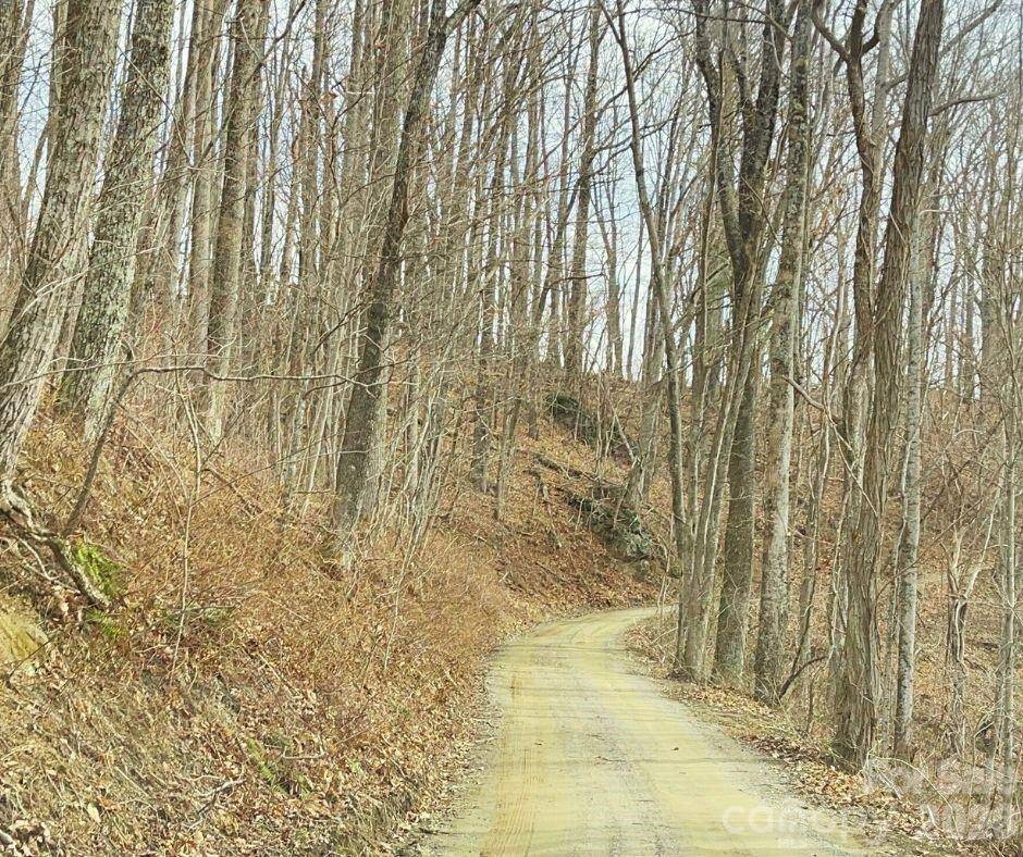 125 Gavin Glen RD, Weaverville, NC 28787