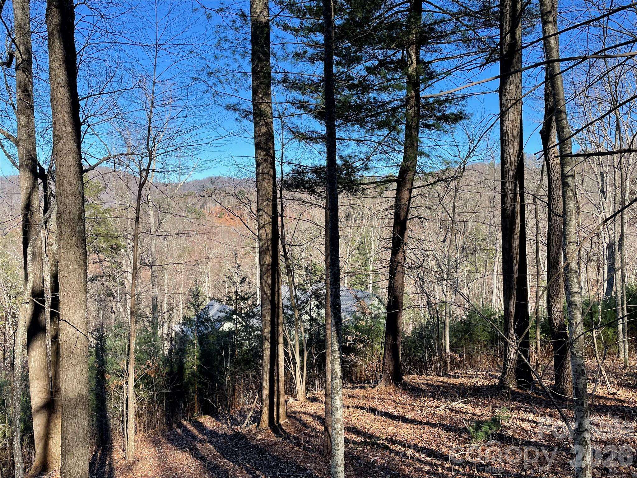 48 Longspur LN #58, Asheville, NC 28804