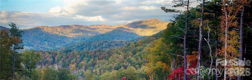 48 Longspur LN #58, Asheville, NC 28804