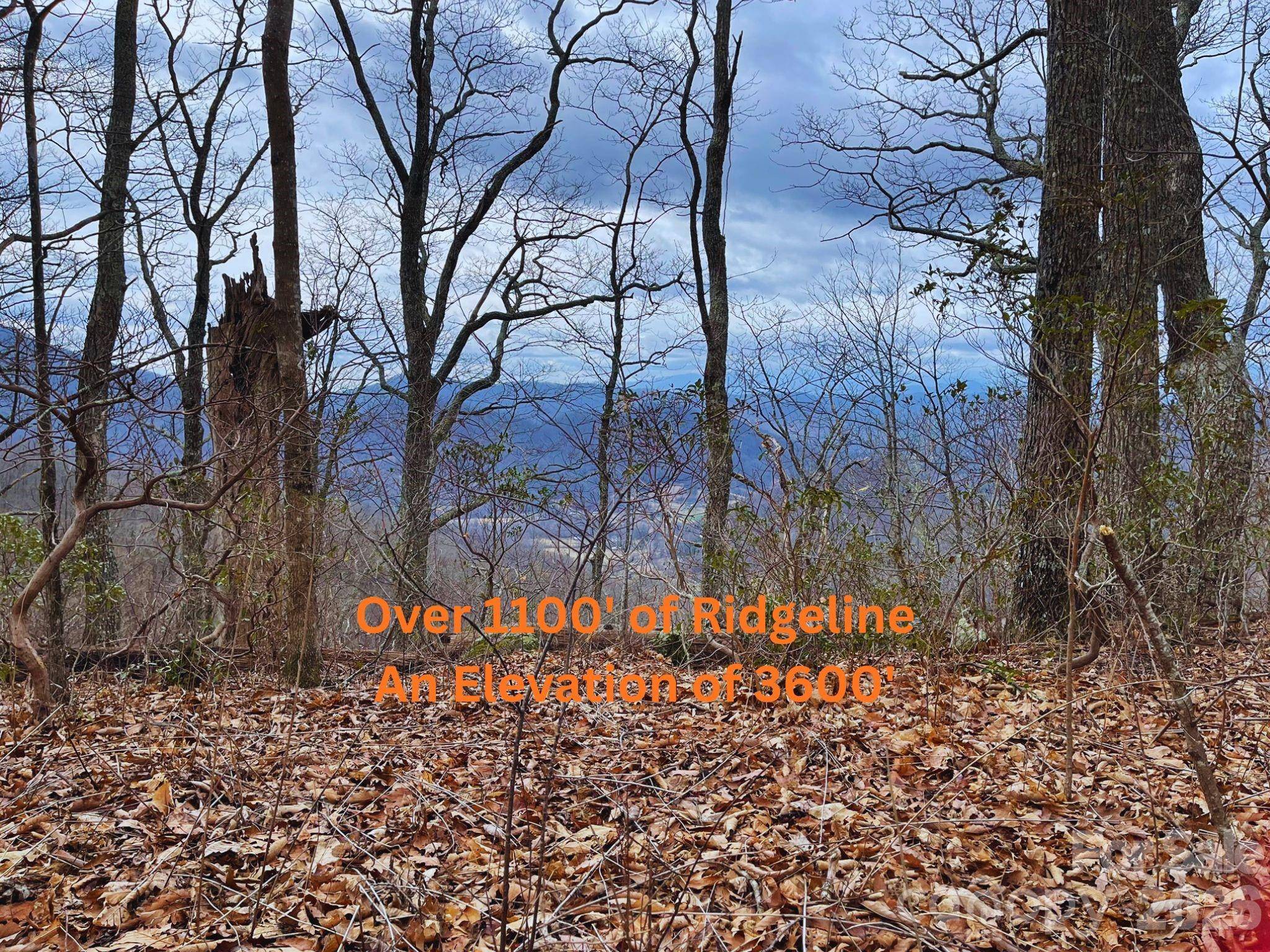 135 Gavin Glen RD, Weaverville, NC 28787