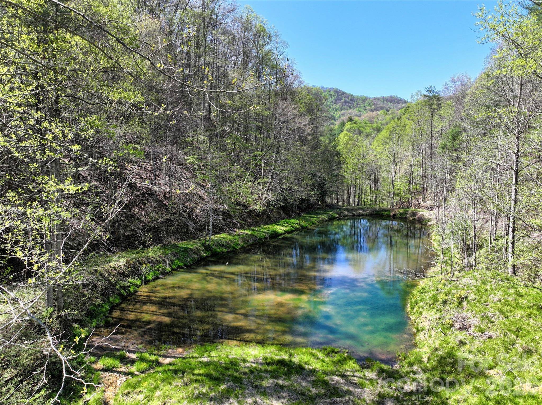 2180 Pigeon Roost RD, Green Mountain, NC 28740