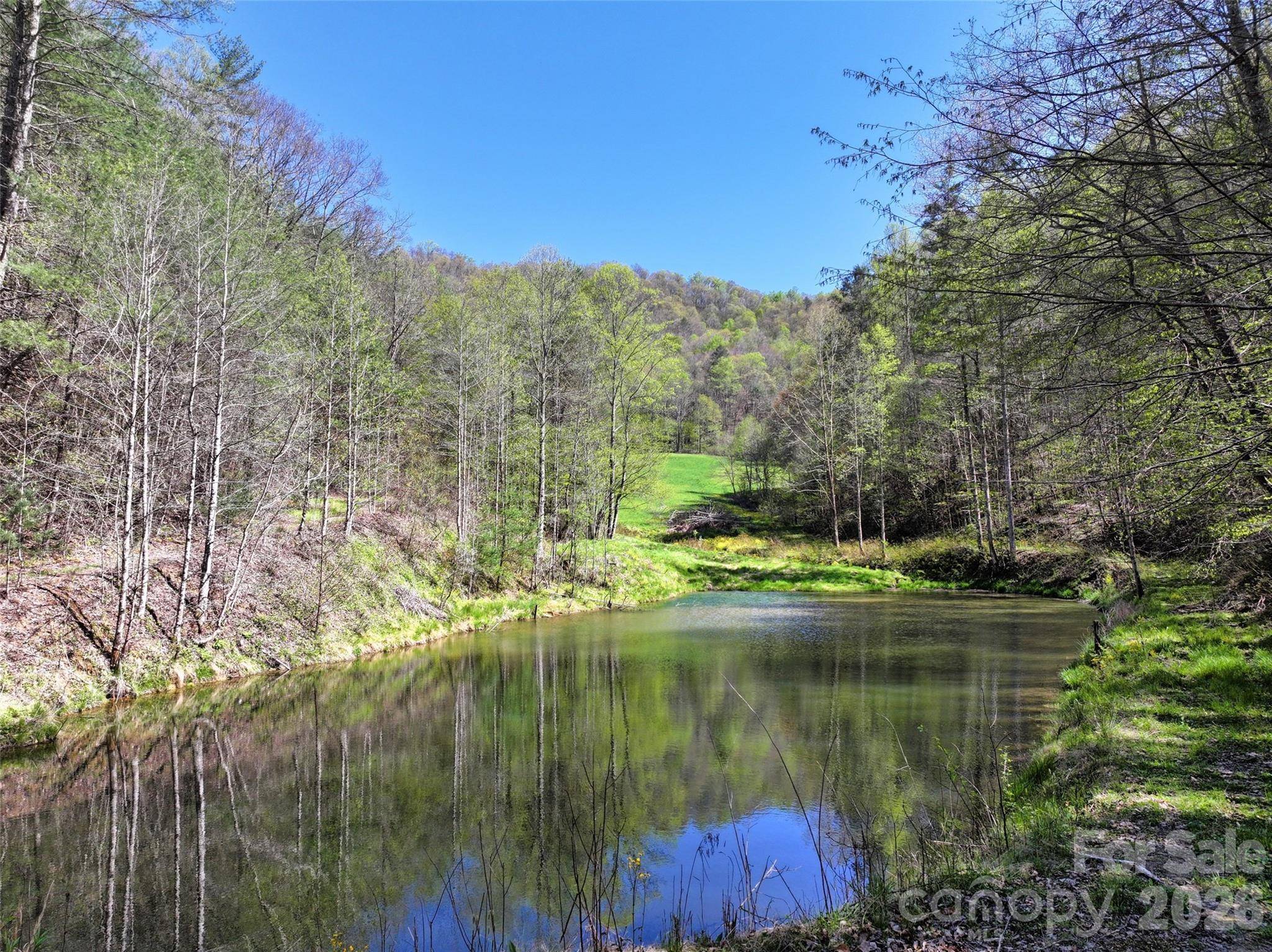 2180 Pigeon Roost RD, Green Mountain, NC 28740