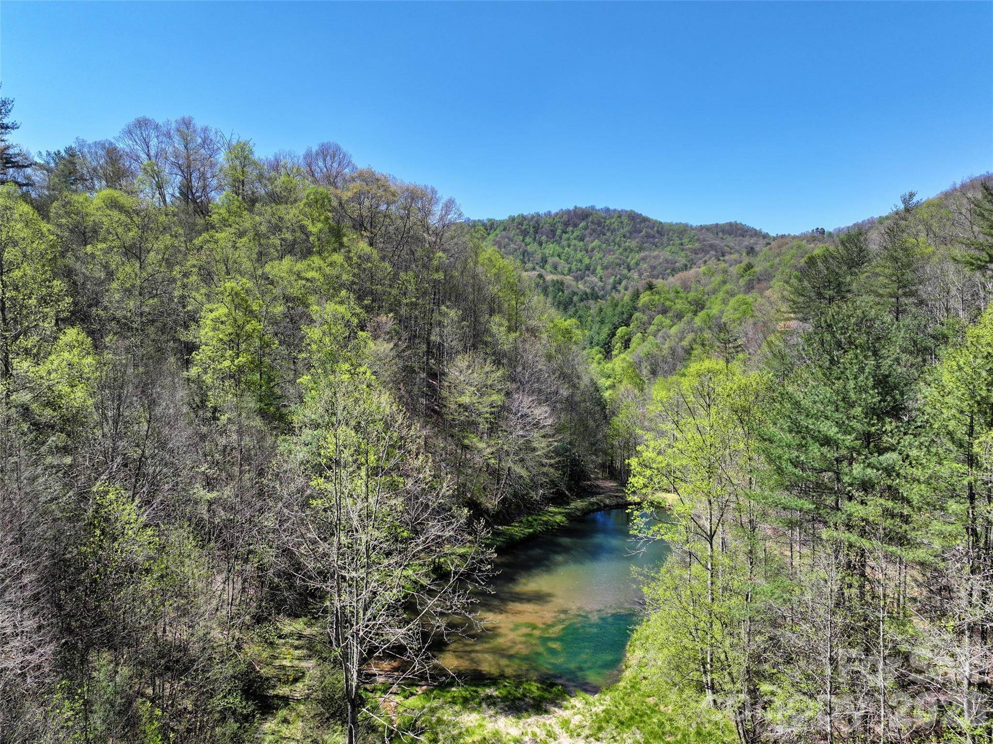 2180 Pigeon Roost RD, Green Mountain, NC 28740