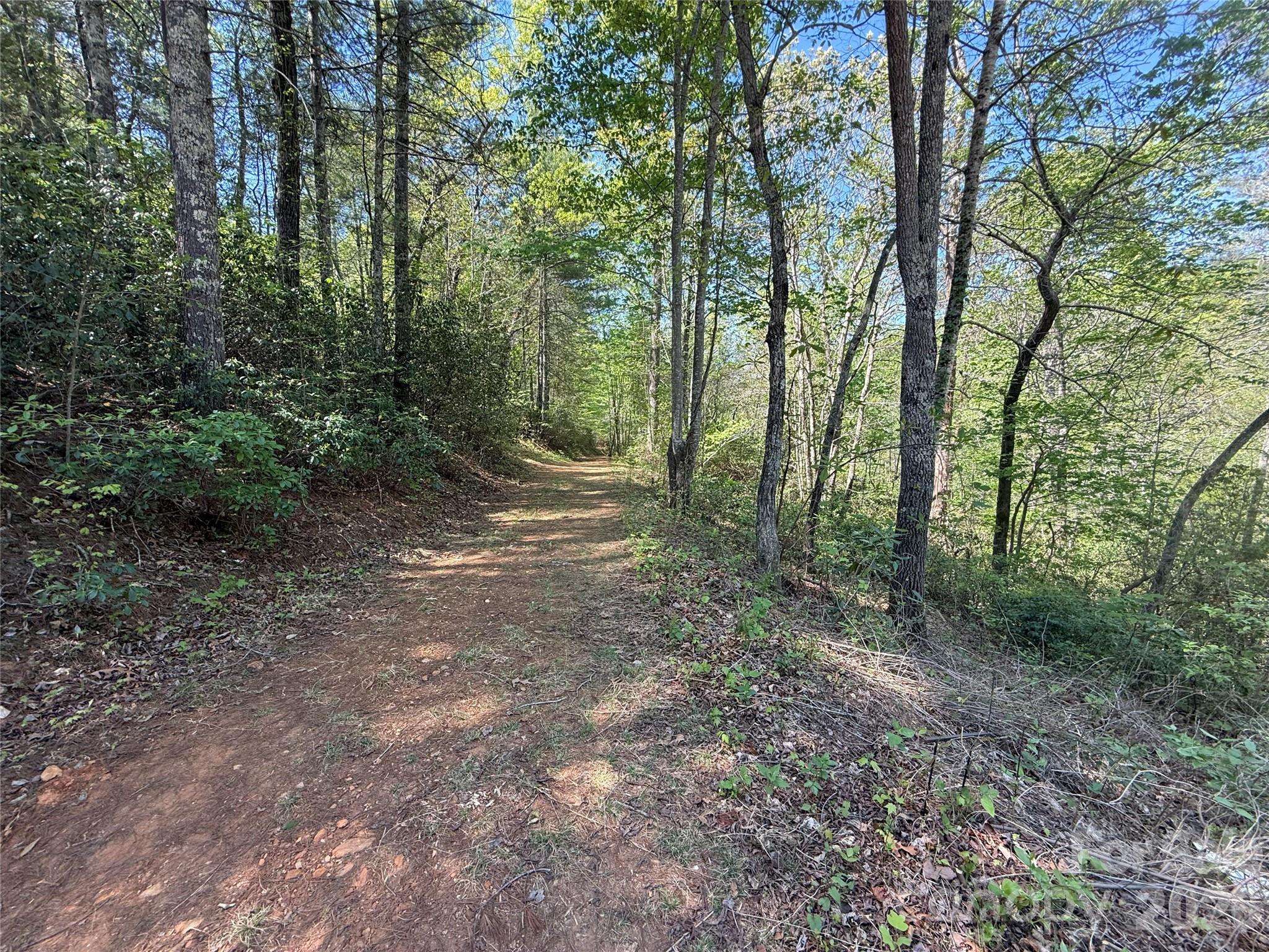 266 Mountain Creek WAY, Marion, NC 28752