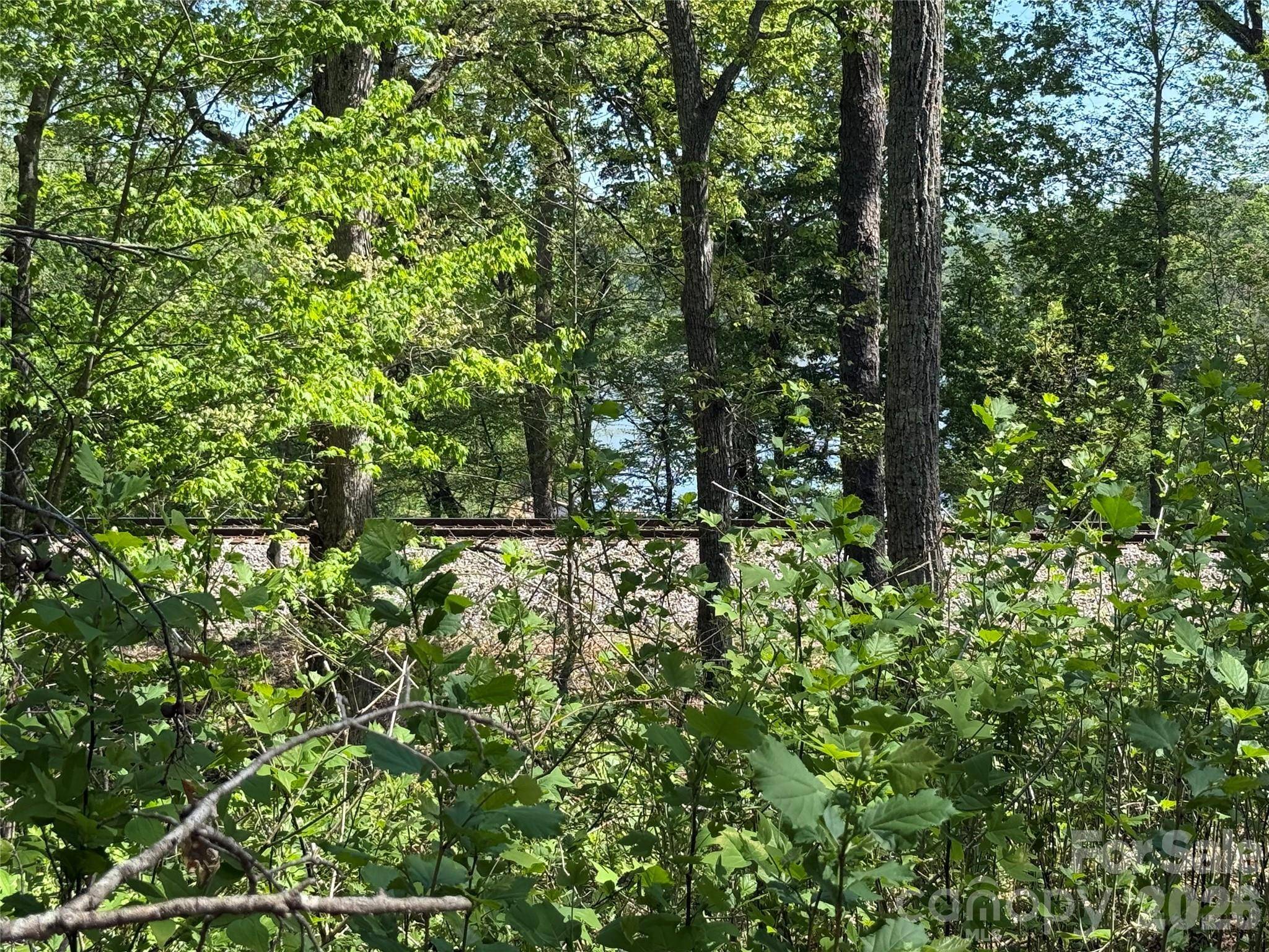 266 Mountain Creek WAY, Marion, NC 28752