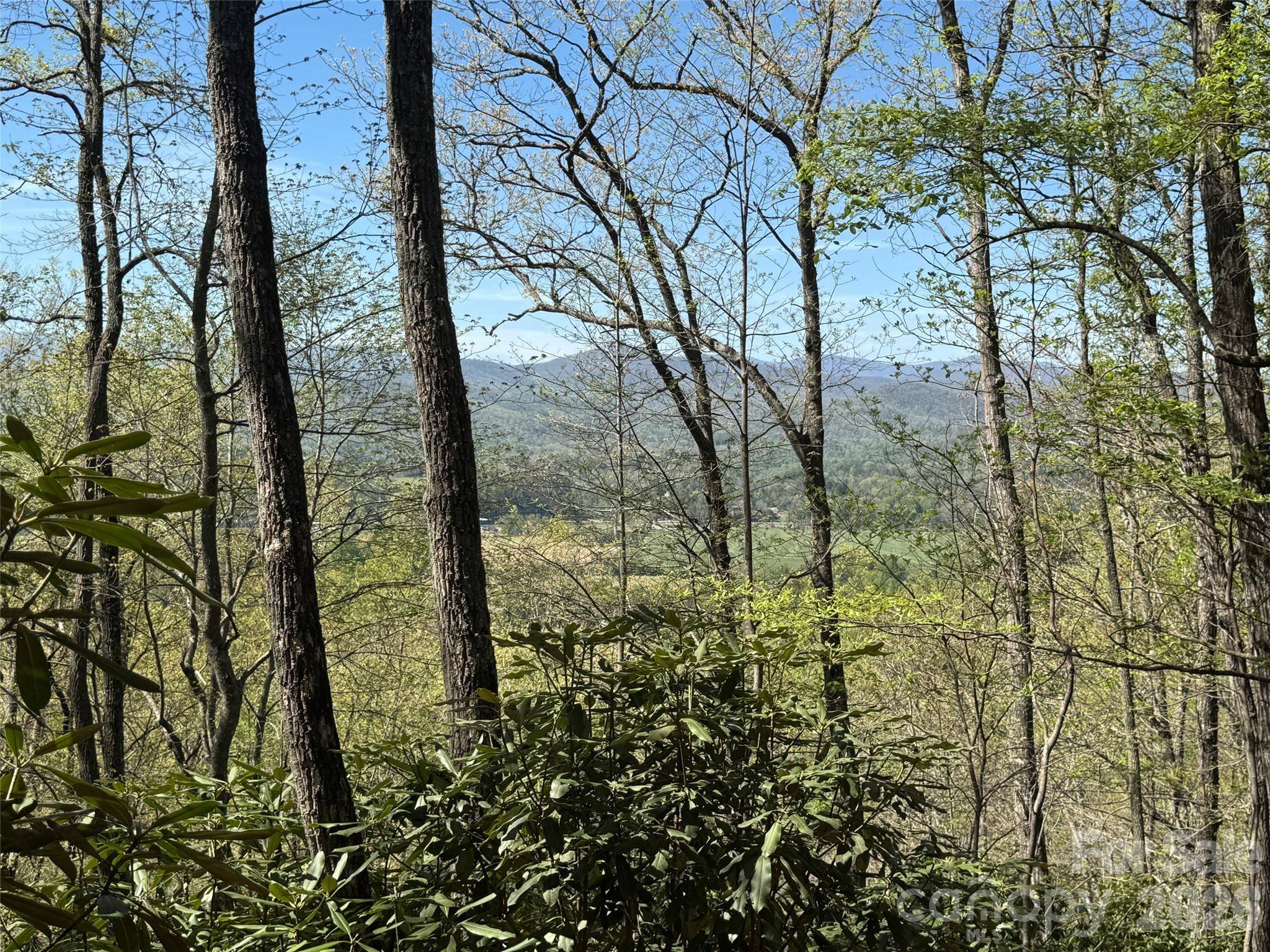 33 Reserve RD #33, Pisgah Forest, NC 28768