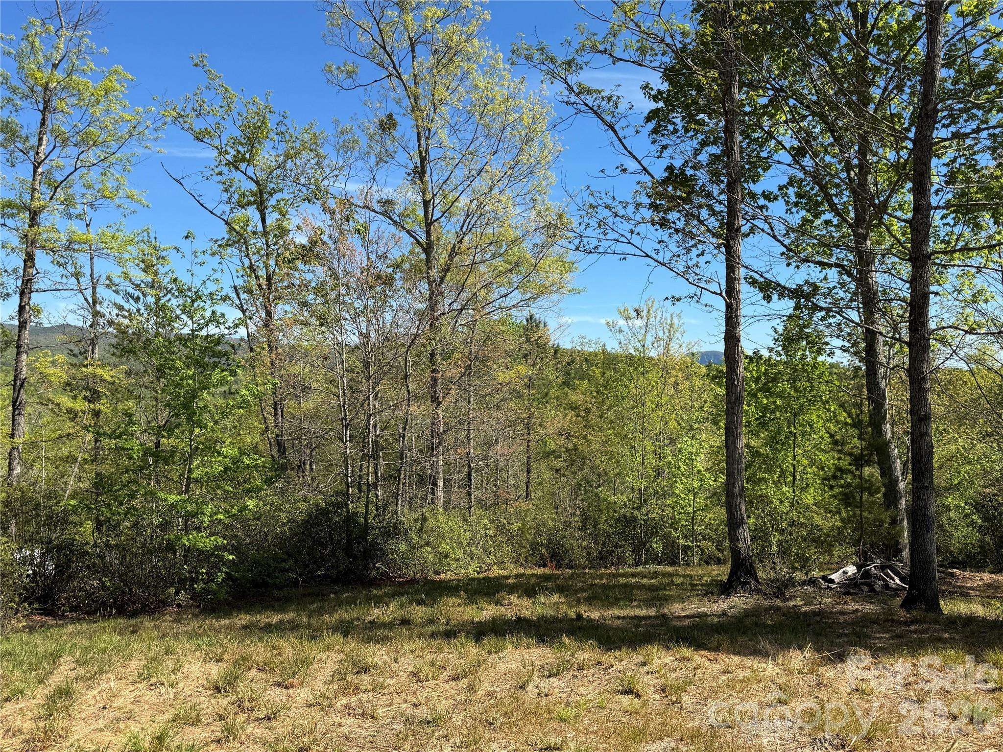 284 Bear Cliff CIR, Nebo, NC 28761