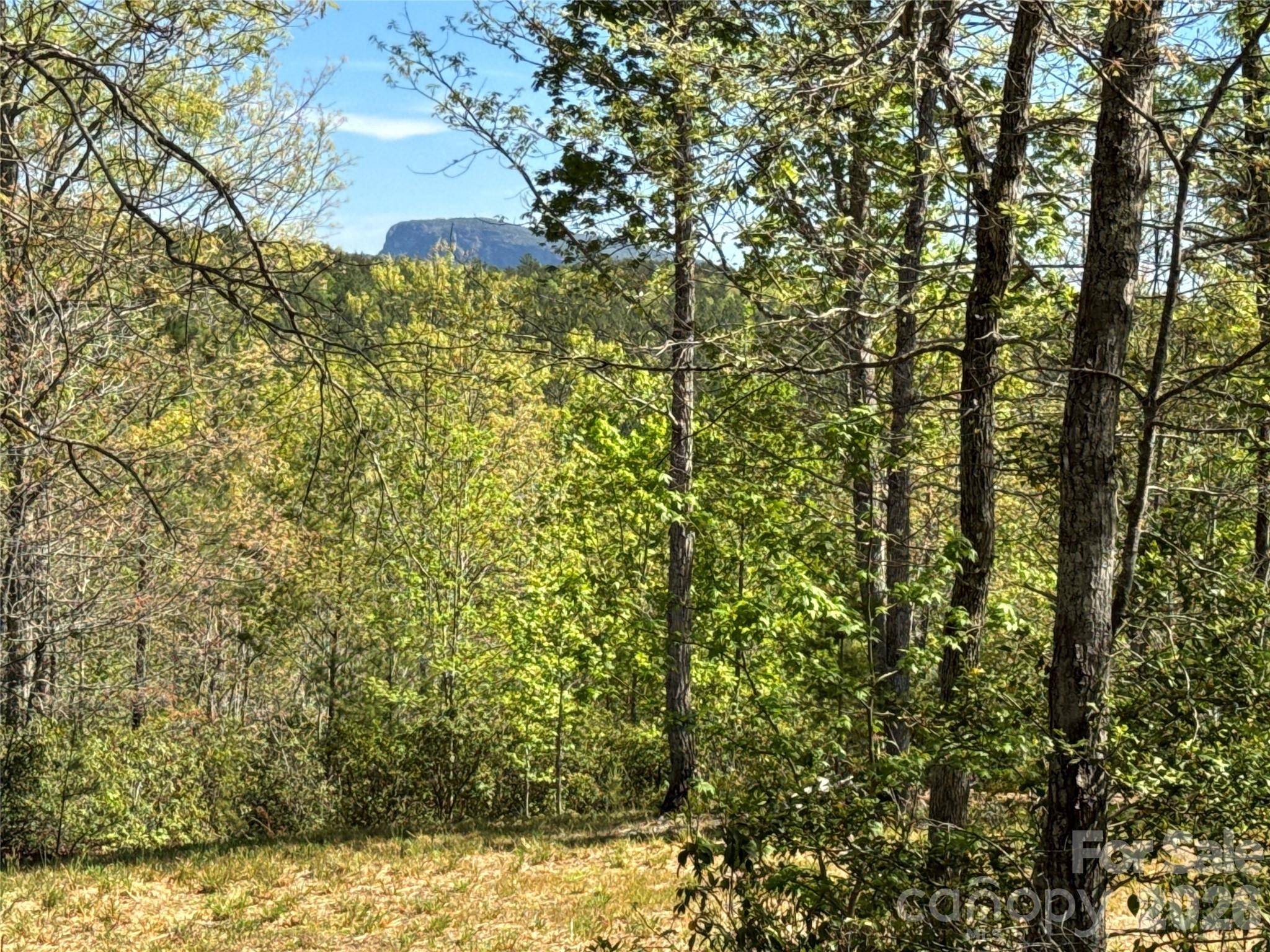 284 Bear Cliff CIR, Nebo, NC 28761