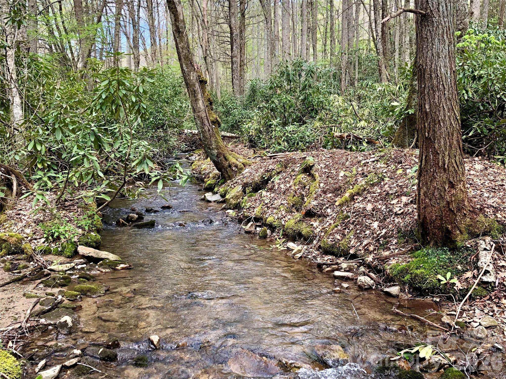 2811 Poplar Creek RD, Green Mountain, NC 28740