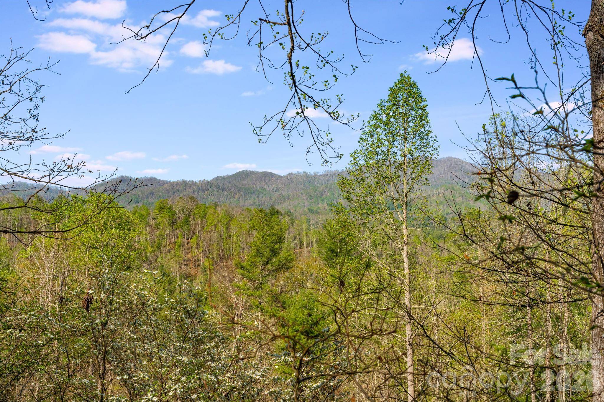 770 Echo Hill DR, Green Mountain, NC 28740