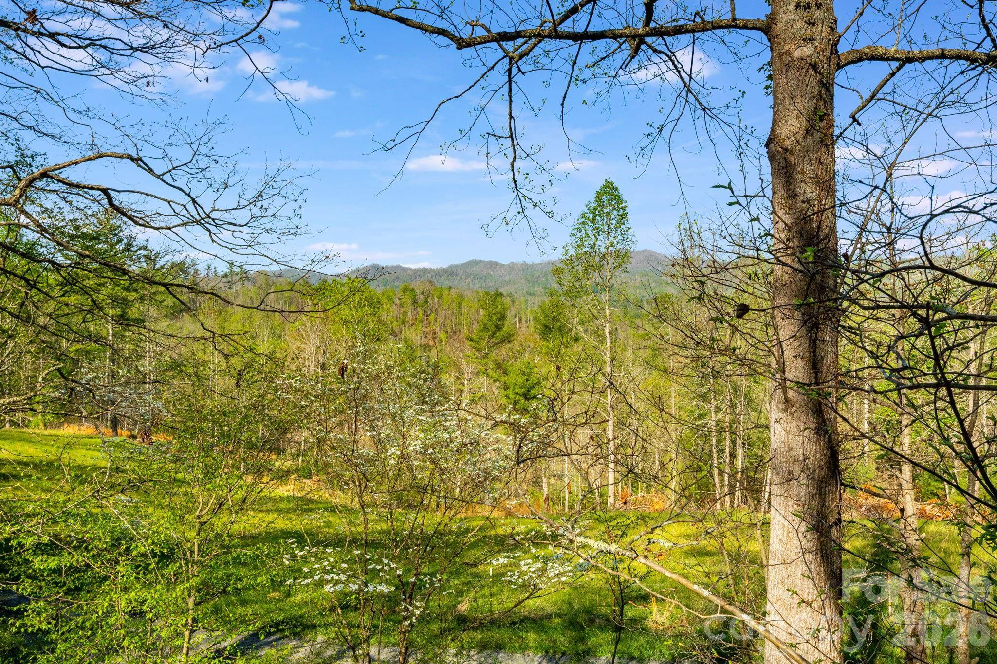 770 Echo Hill DR, Green Mountain, NC 28740