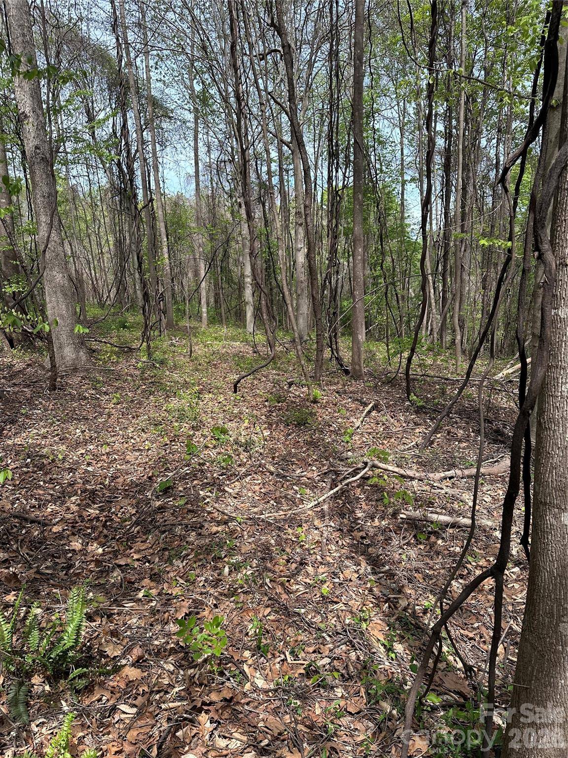 0 Will Boone RD, Mocksville, NC 27028
