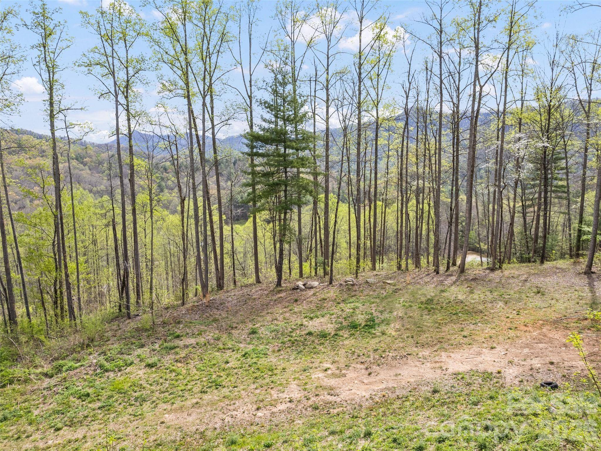 00 Willow LN, Robbinsville, NC 28771