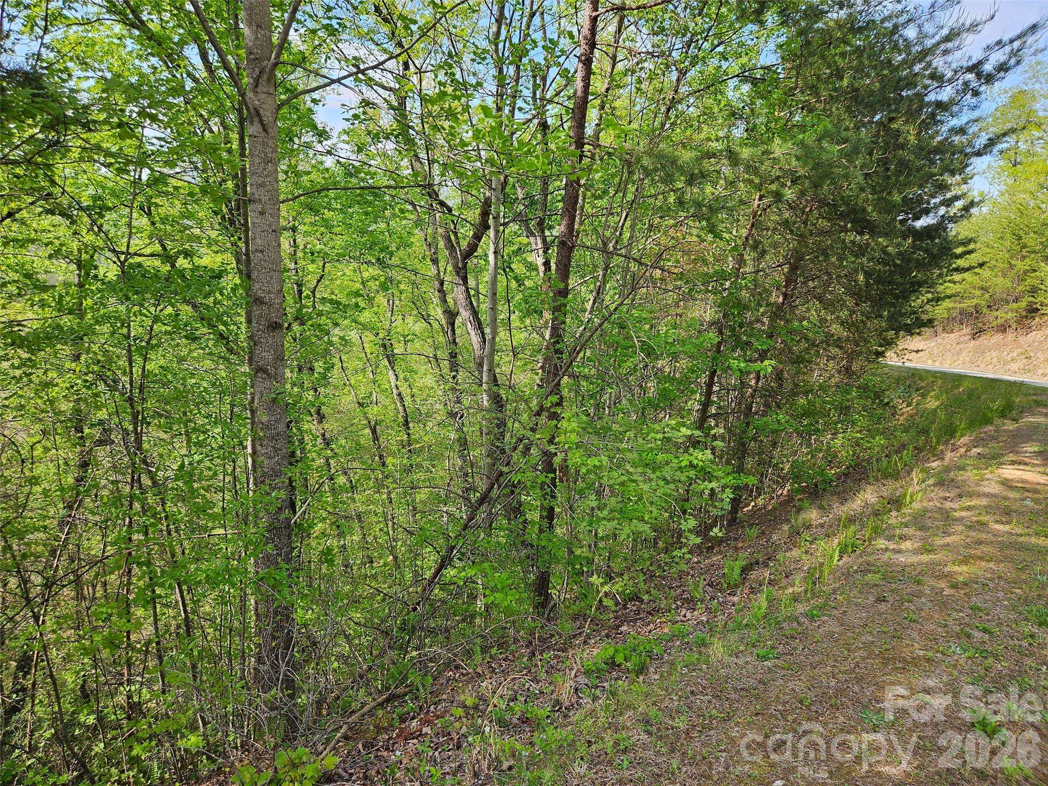 0 High Pines LOOP #101, Lake Lure, NC 28746