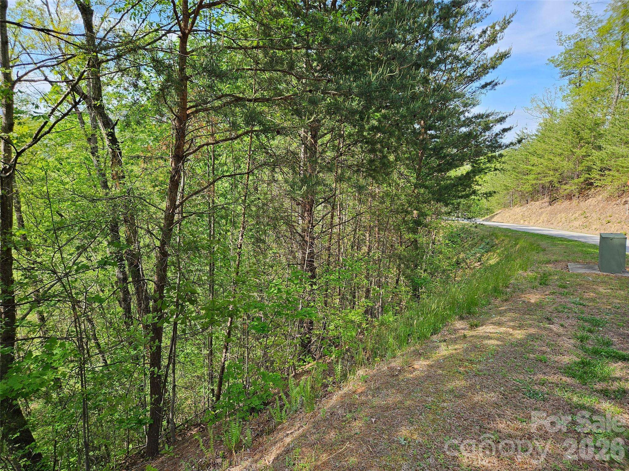 0 High Pines LOOP #101, Lake Lure, NC 28746
