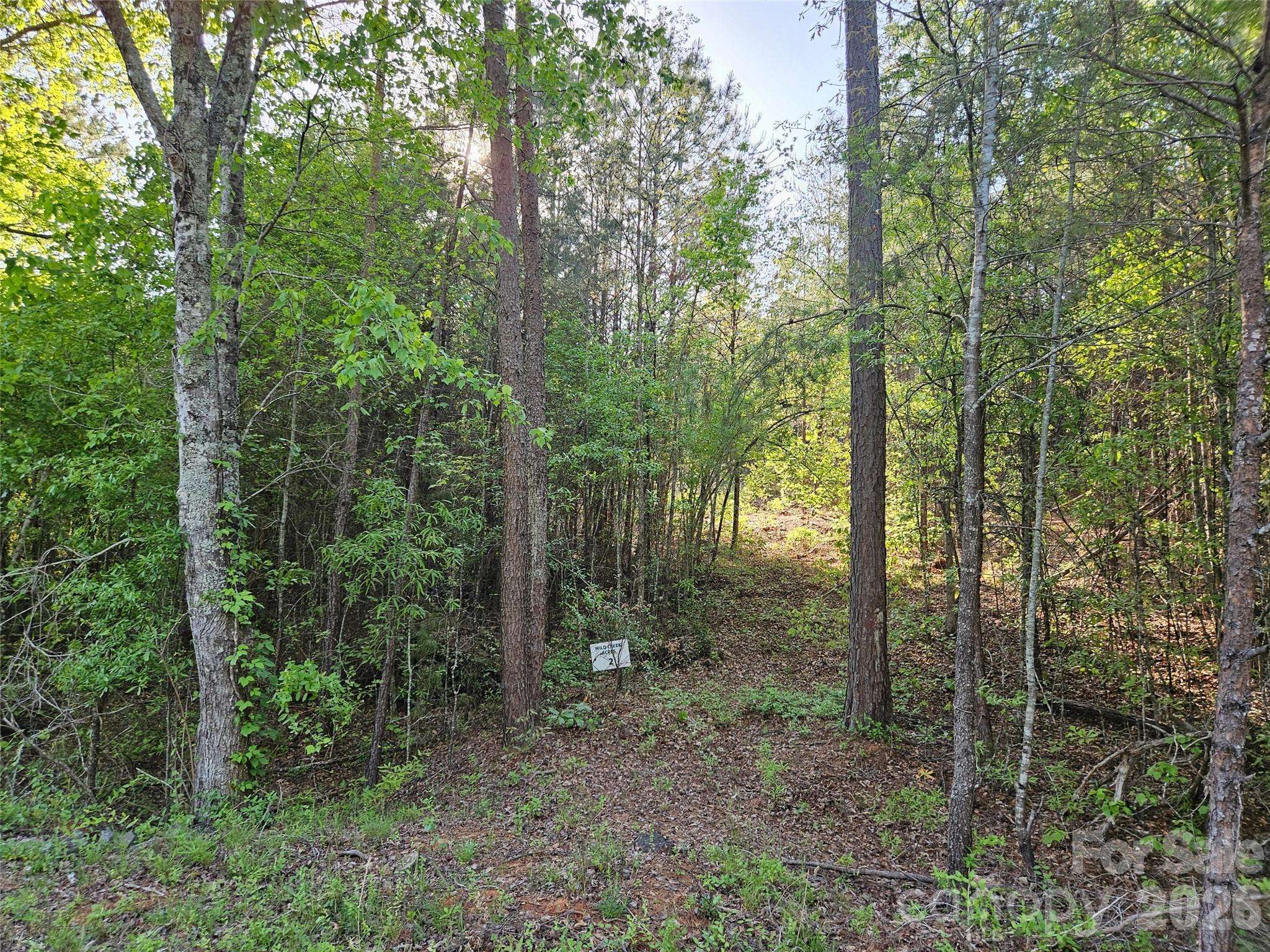 0 Old Hollis RD #2, Ellenboro, NC 28040