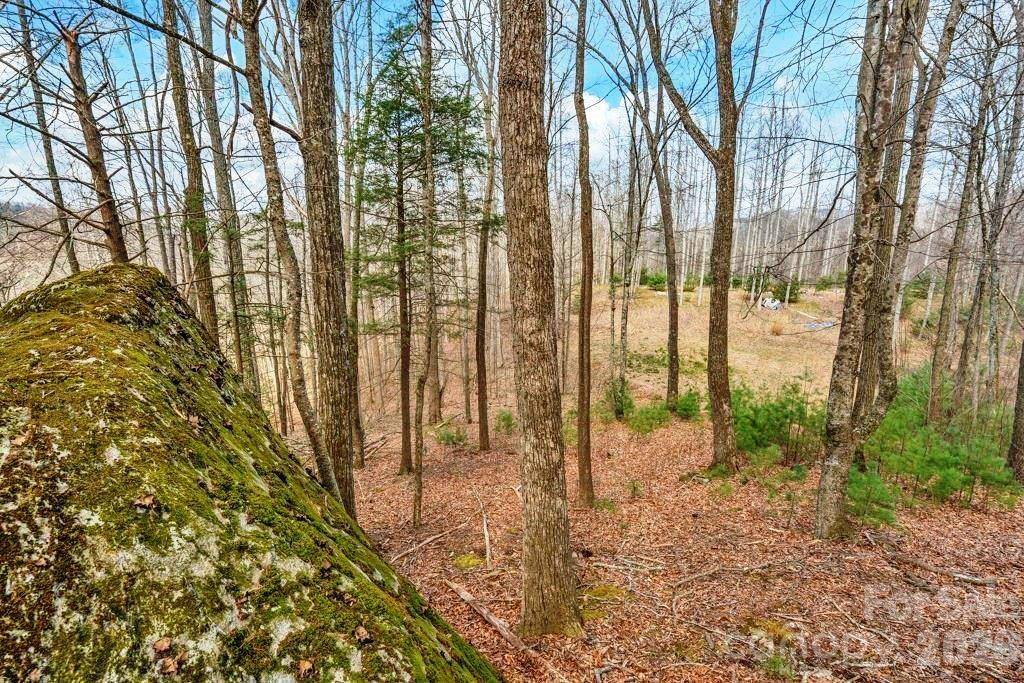 tbd Denney Wood RD, Sugar Grove, NC 28679