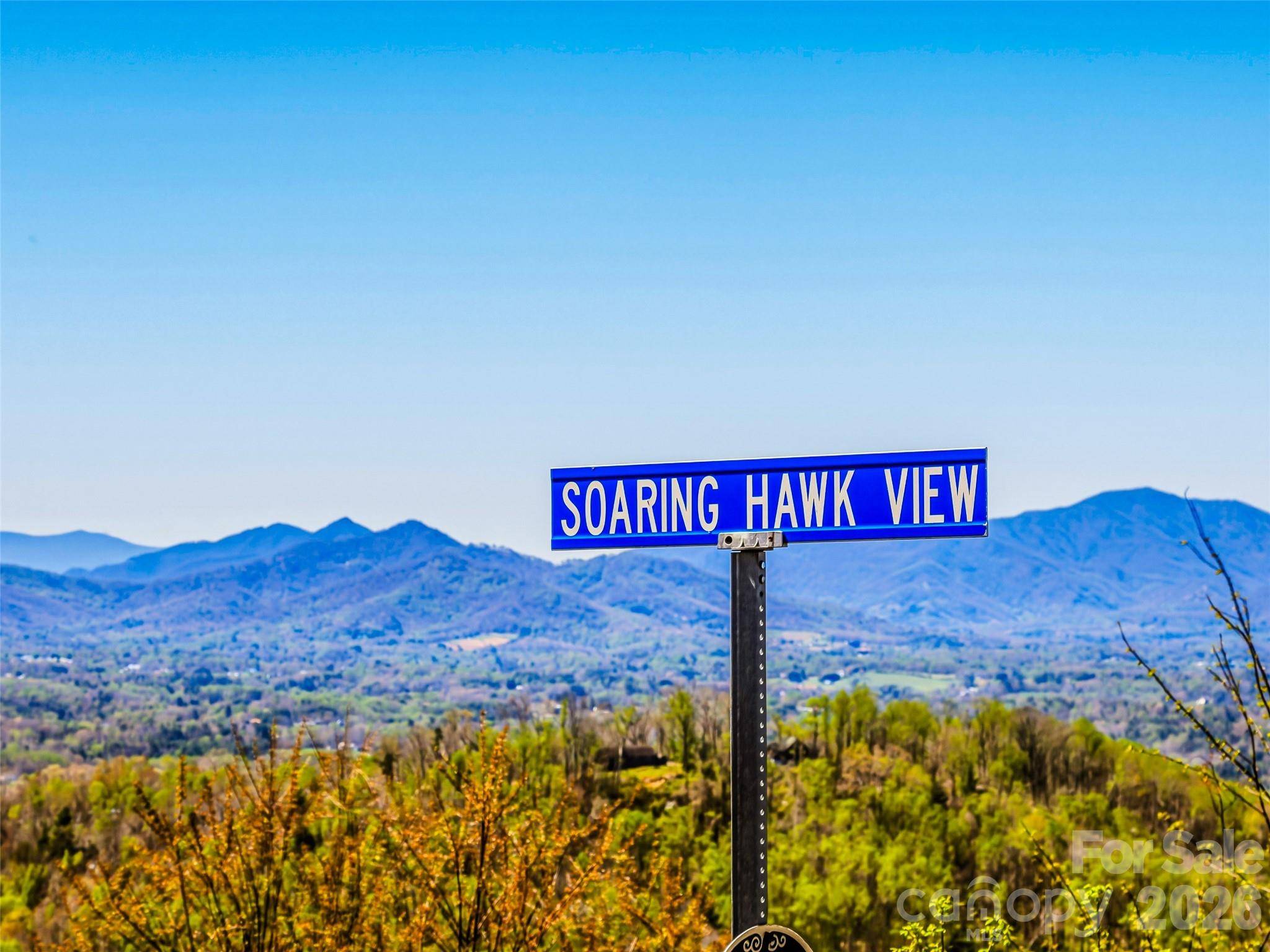 5 Soaring Hawk VW #14, Asheville, NC 28804