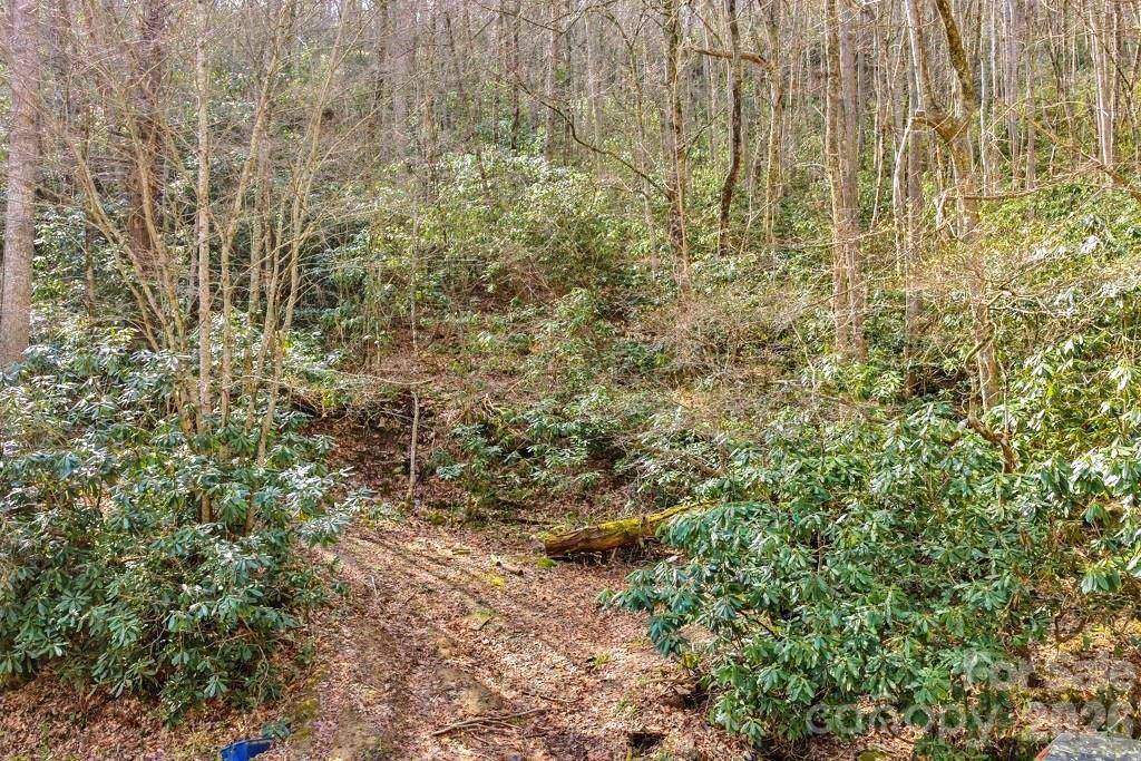tbd Rominger RD, Sugar Grove, NC 28679