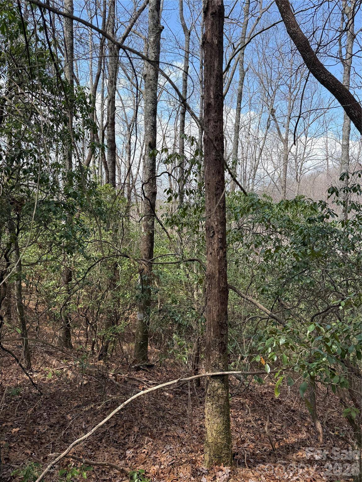 00 Line Runner Ridge RD, Rosman, NC 28722