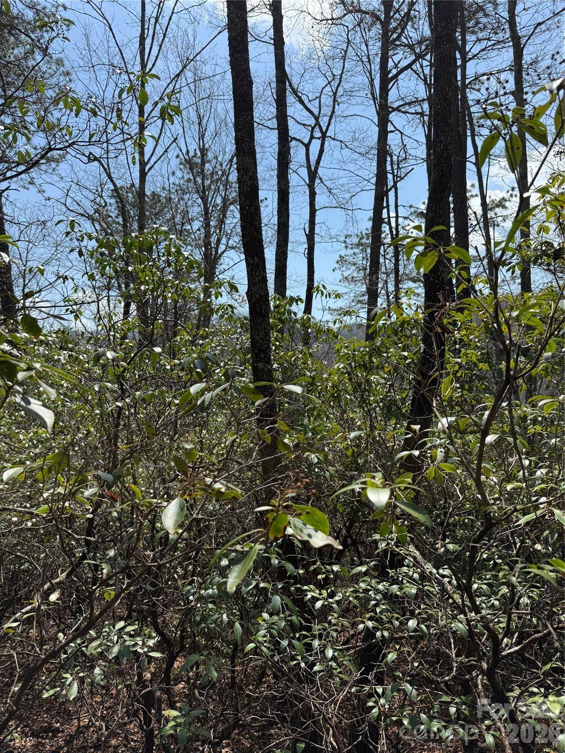 00 Line Runner Ridge RD, Rosman, NC 28722
