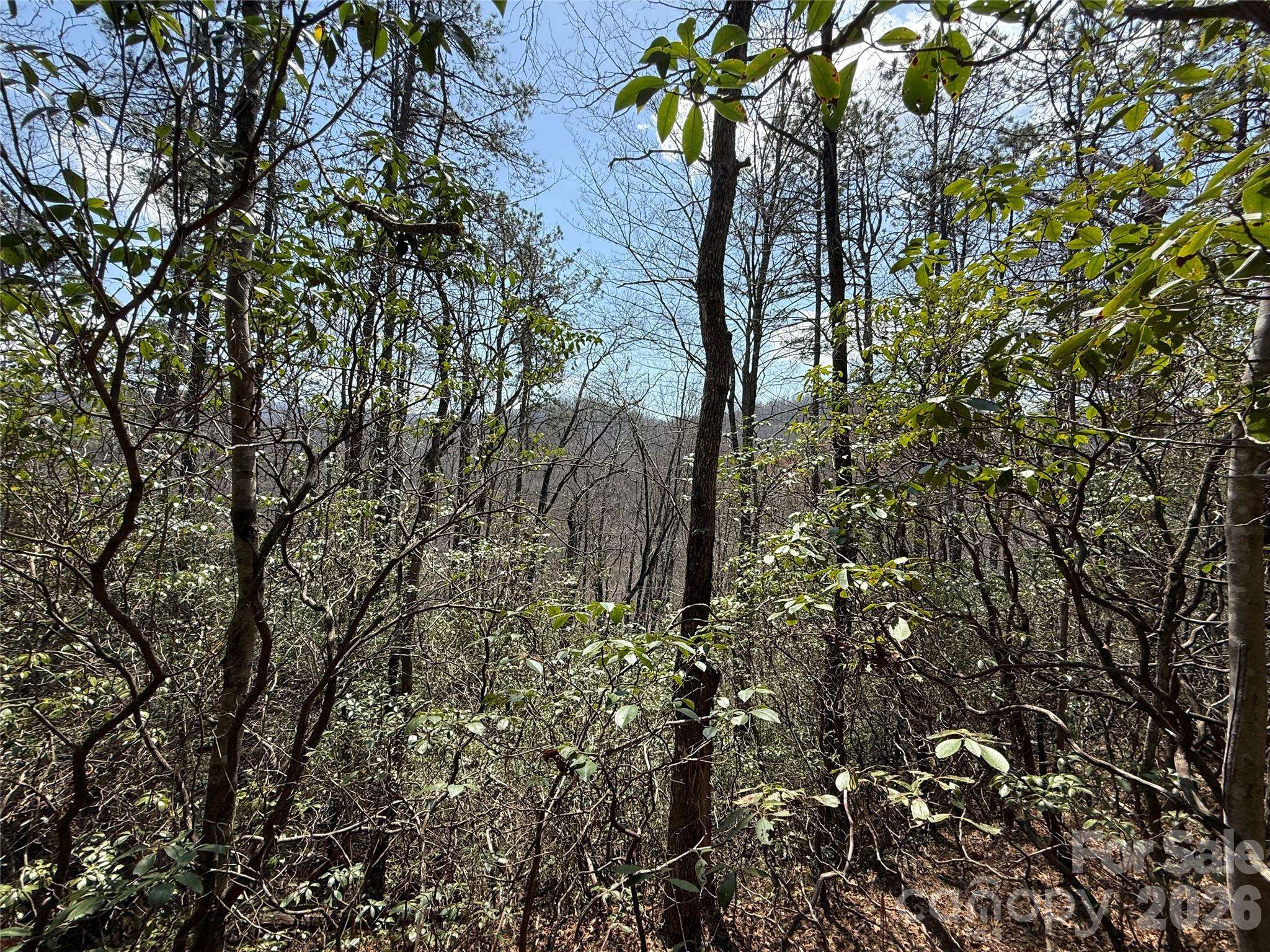 00 Line Runner Ridge RD, Rosman, NC 28722