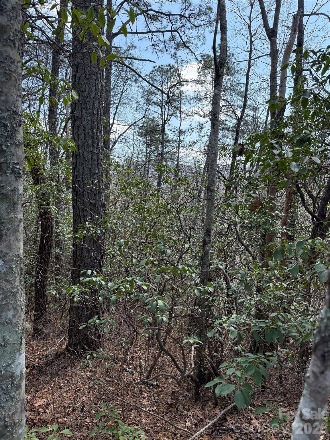 00 Line Runner Ridge RD, Rosman, NC 28722