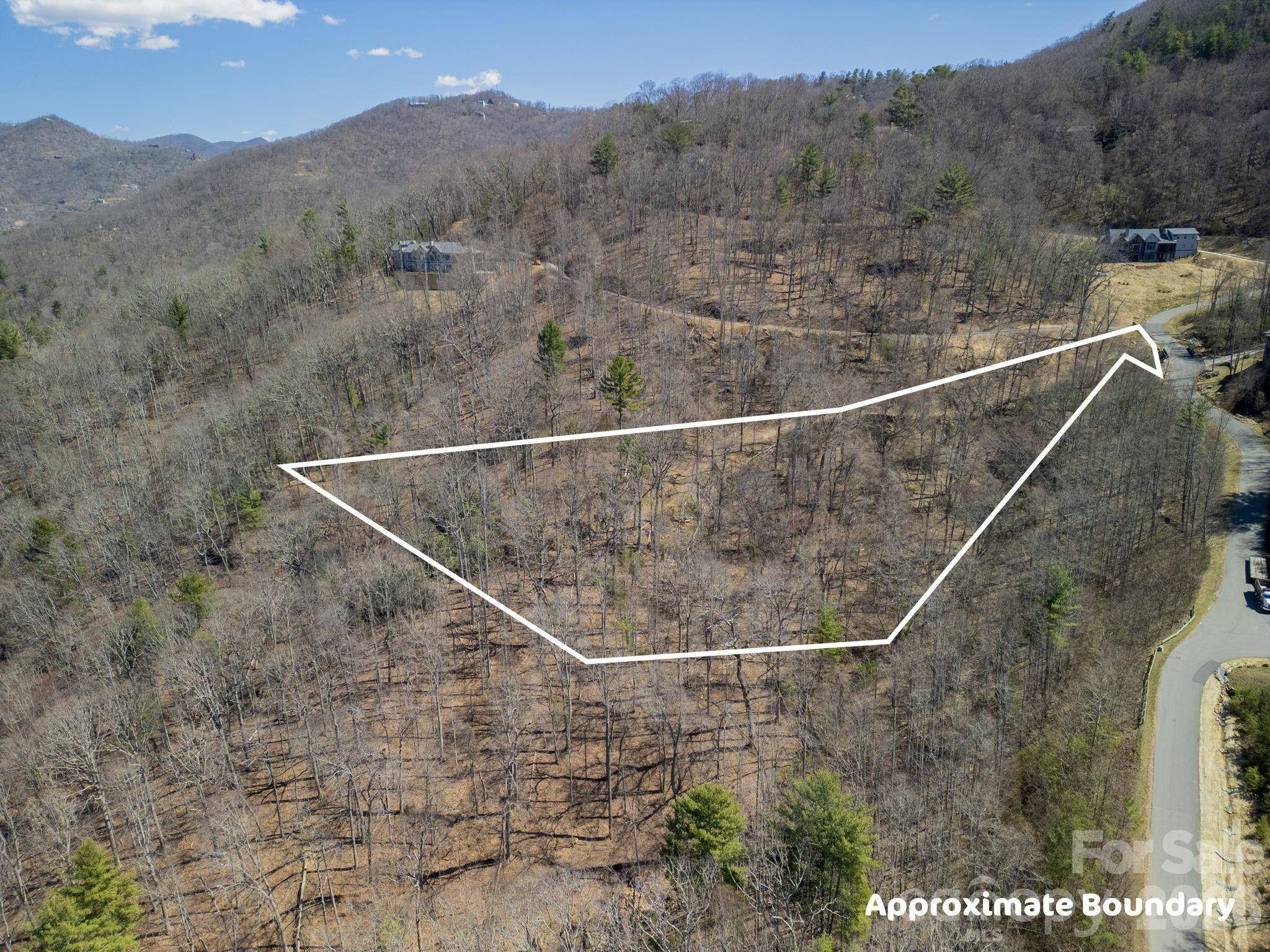 86 Bartrams Walk DR #14, Asheville, NC 28804