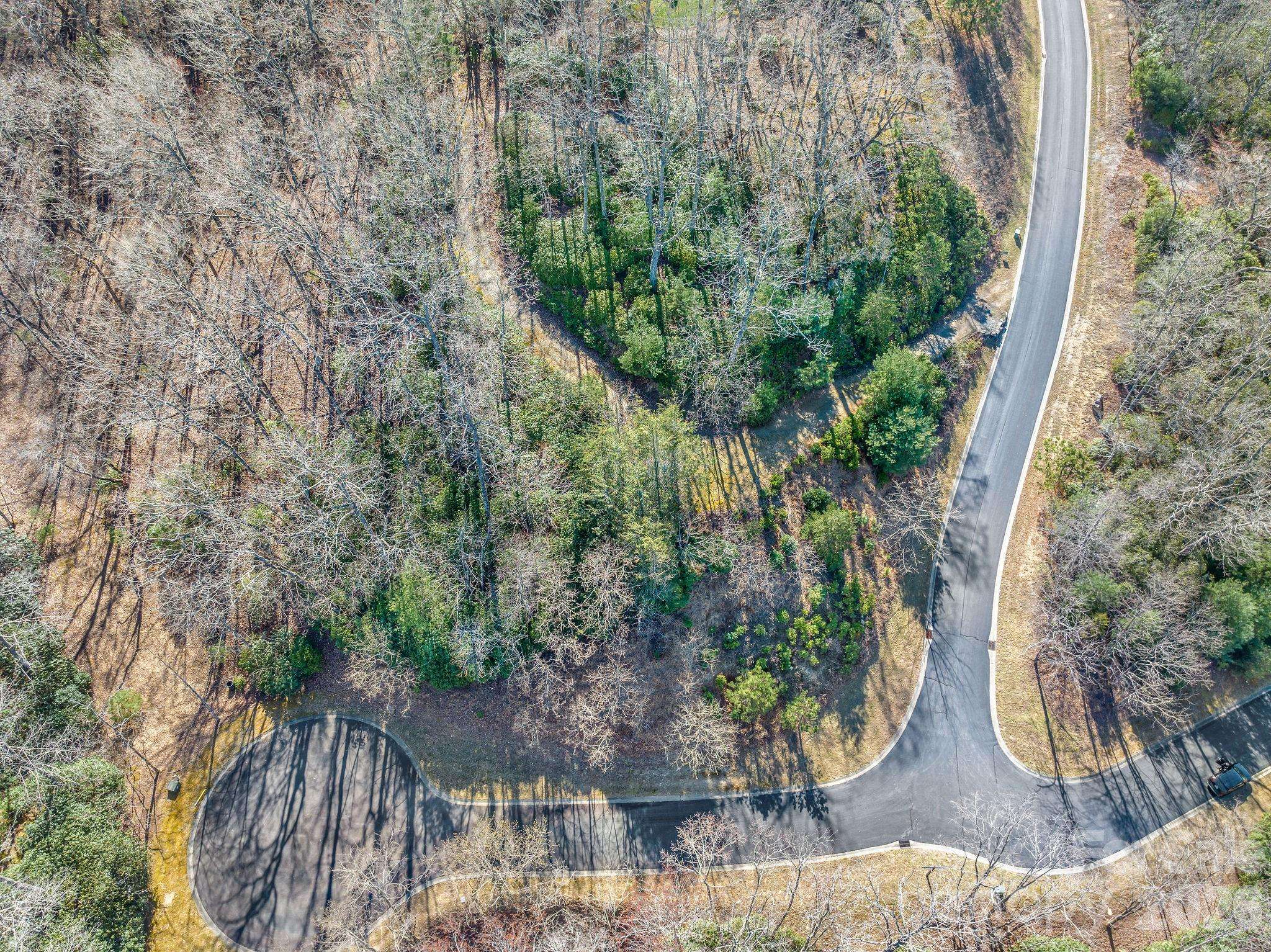 80 Running Deer TRL S #80, Horse Shoe, NC 28742