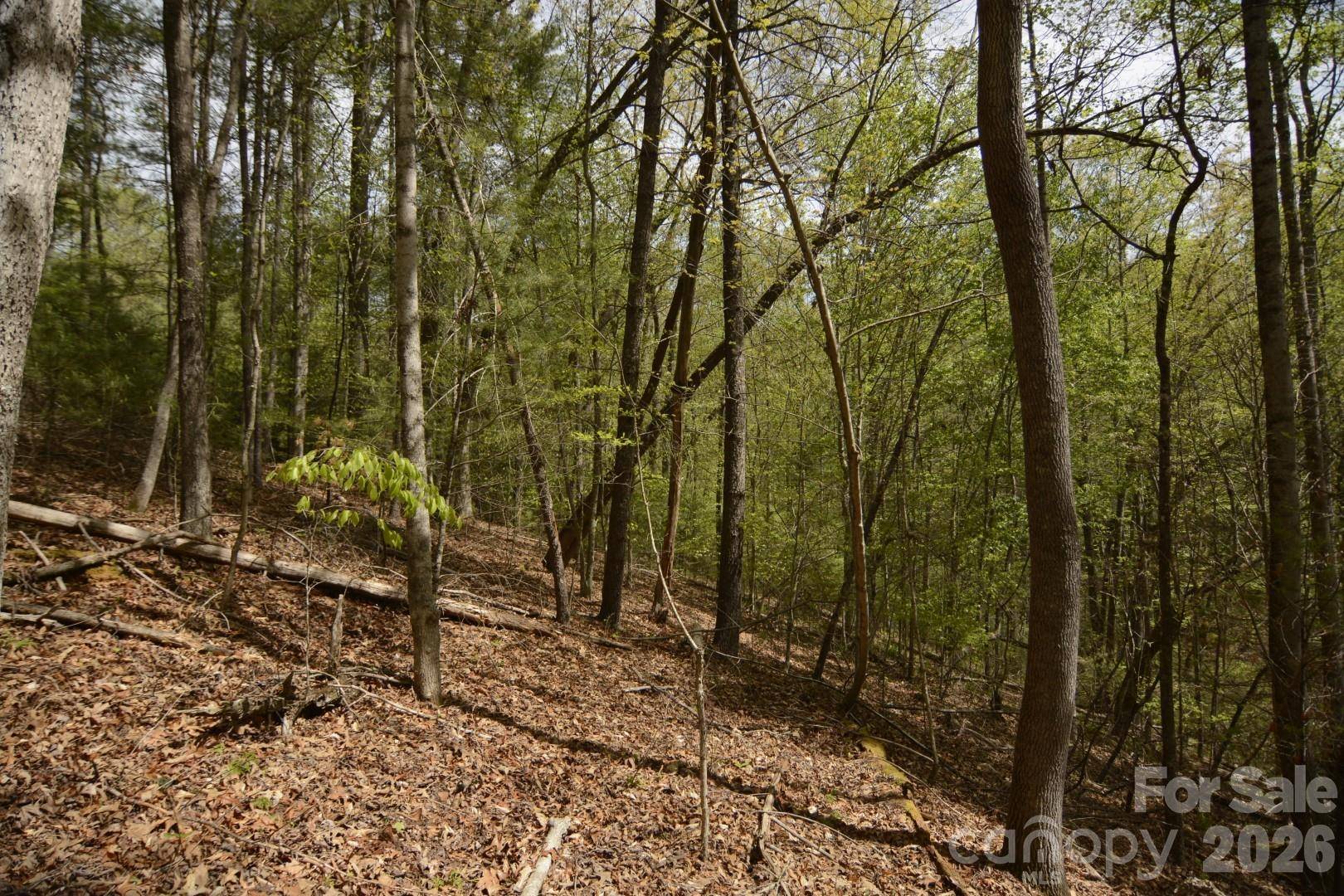 00 Garnet DR, Leicester, NC 28748