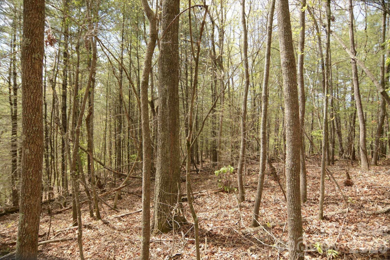 00 Garnet DR, Leicester, NC 28748