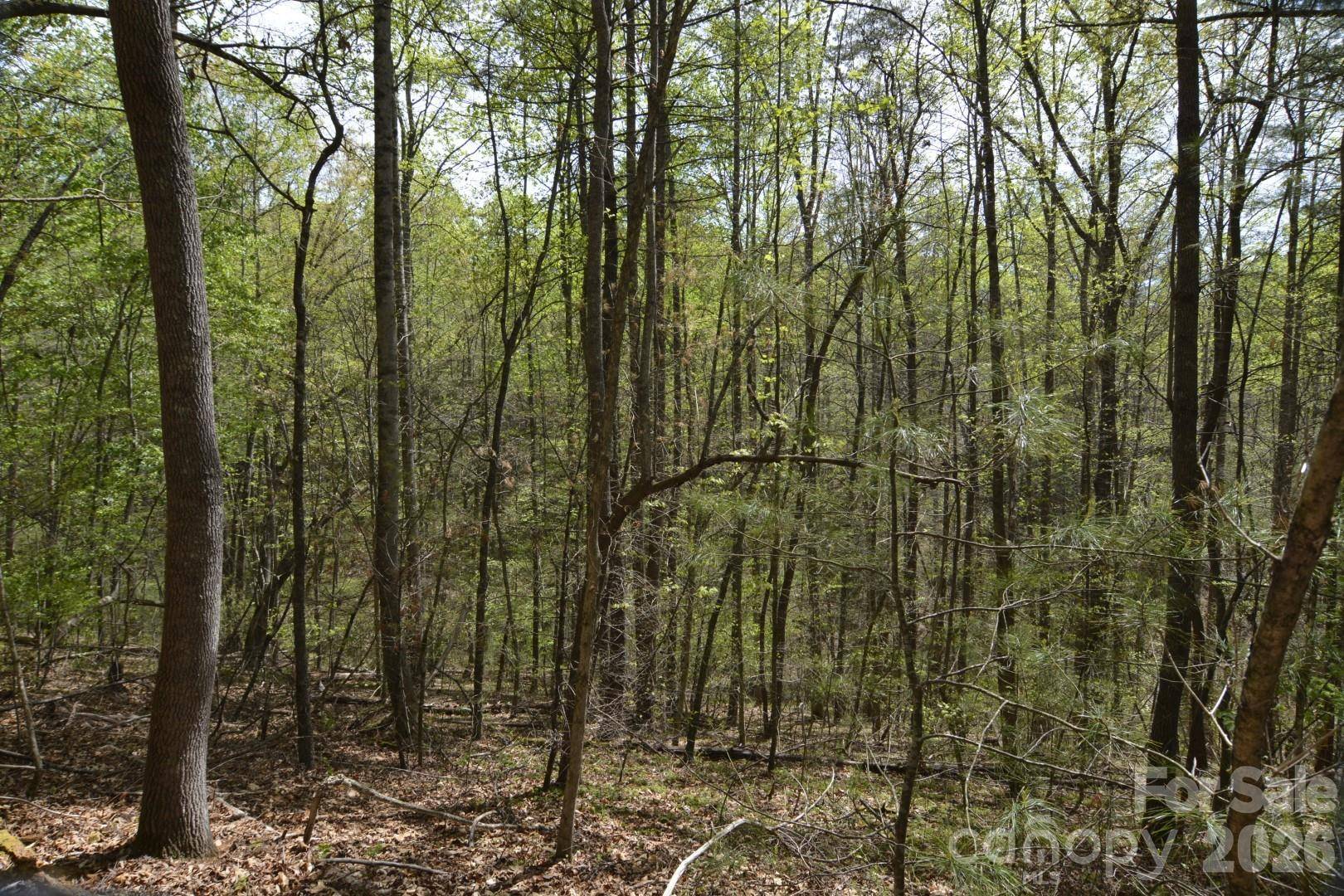 00 Garnet DR, Leicester, NC 28748