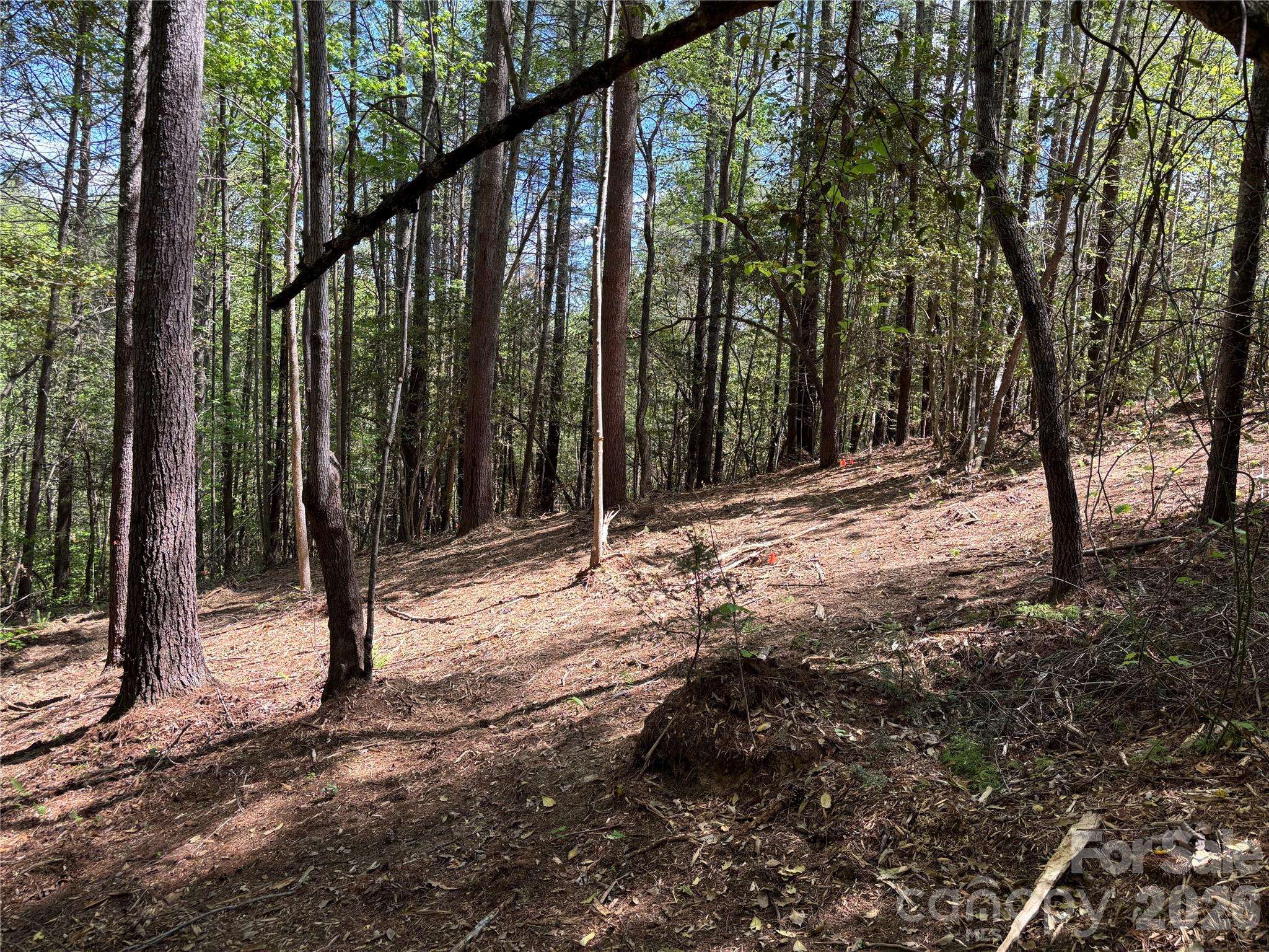1665 Round Mountain Pkwy #69, Lenoir, NC 28645