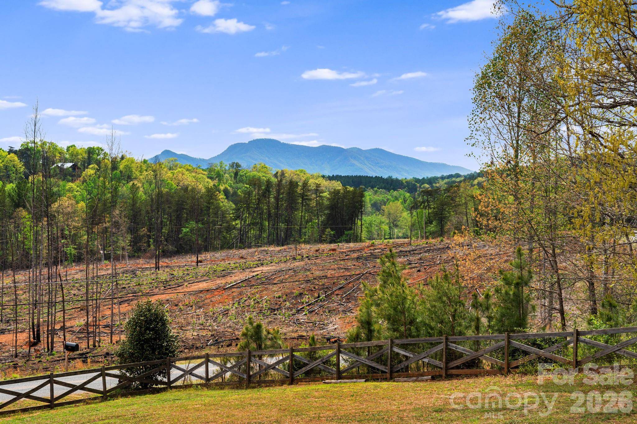2011 Edgerton RD, Mill Spring, NC 28756