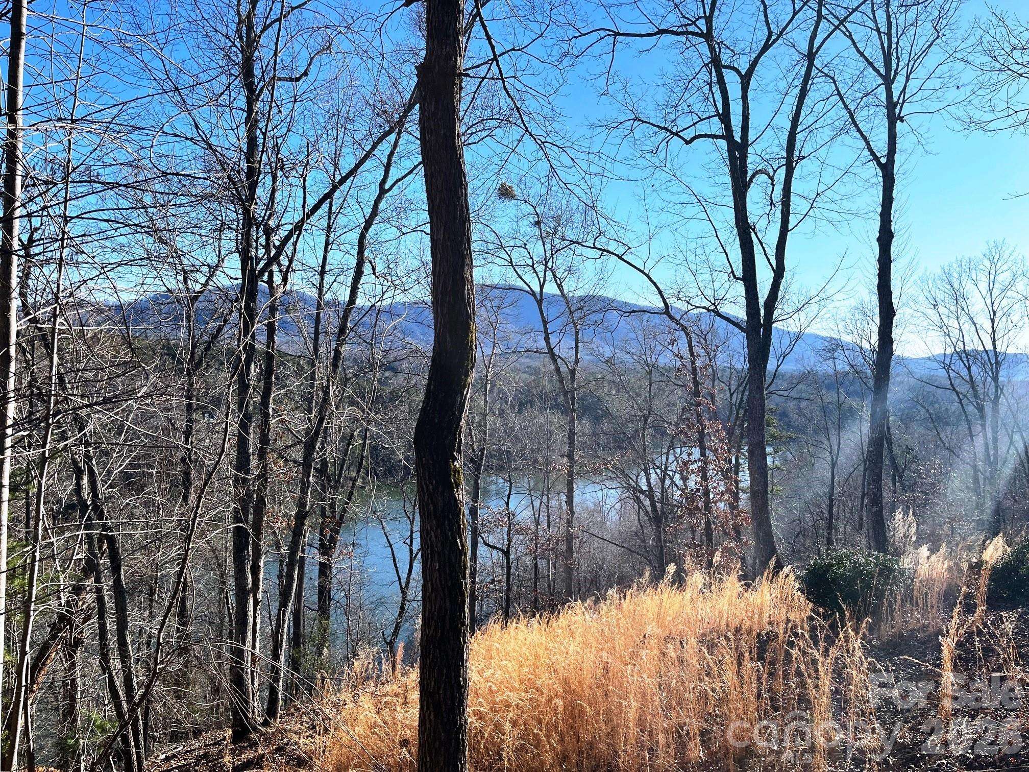Lot 30 Mountain Pkwy, Mill Spring, NC 28756