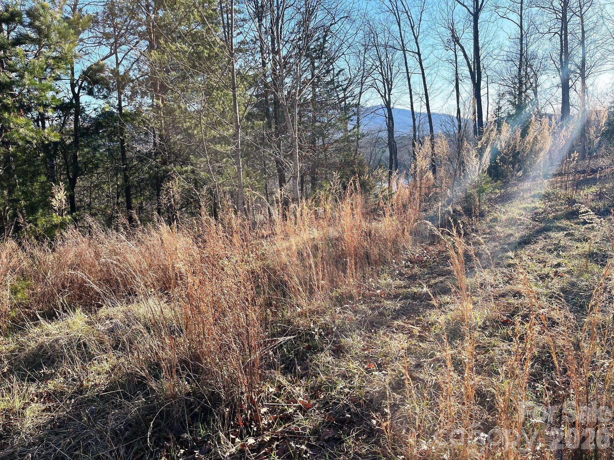Lot 30 Mountain Pkwy, Mill Spring, NC 28756