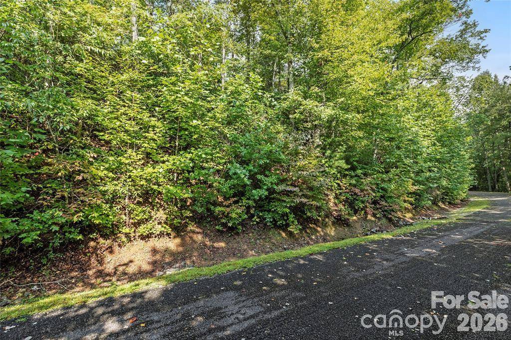 TBD Barts Branch DR #13, Balsam Grove, NC 28708