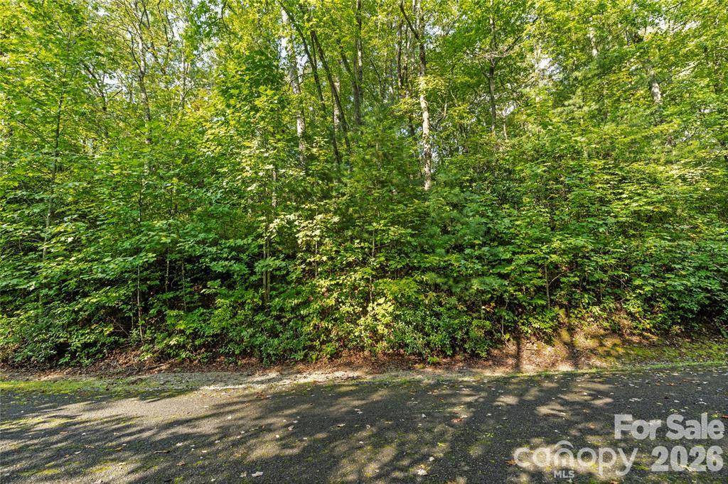 TBD Barts Branch DR #16, Balsam Grove, NC 28708