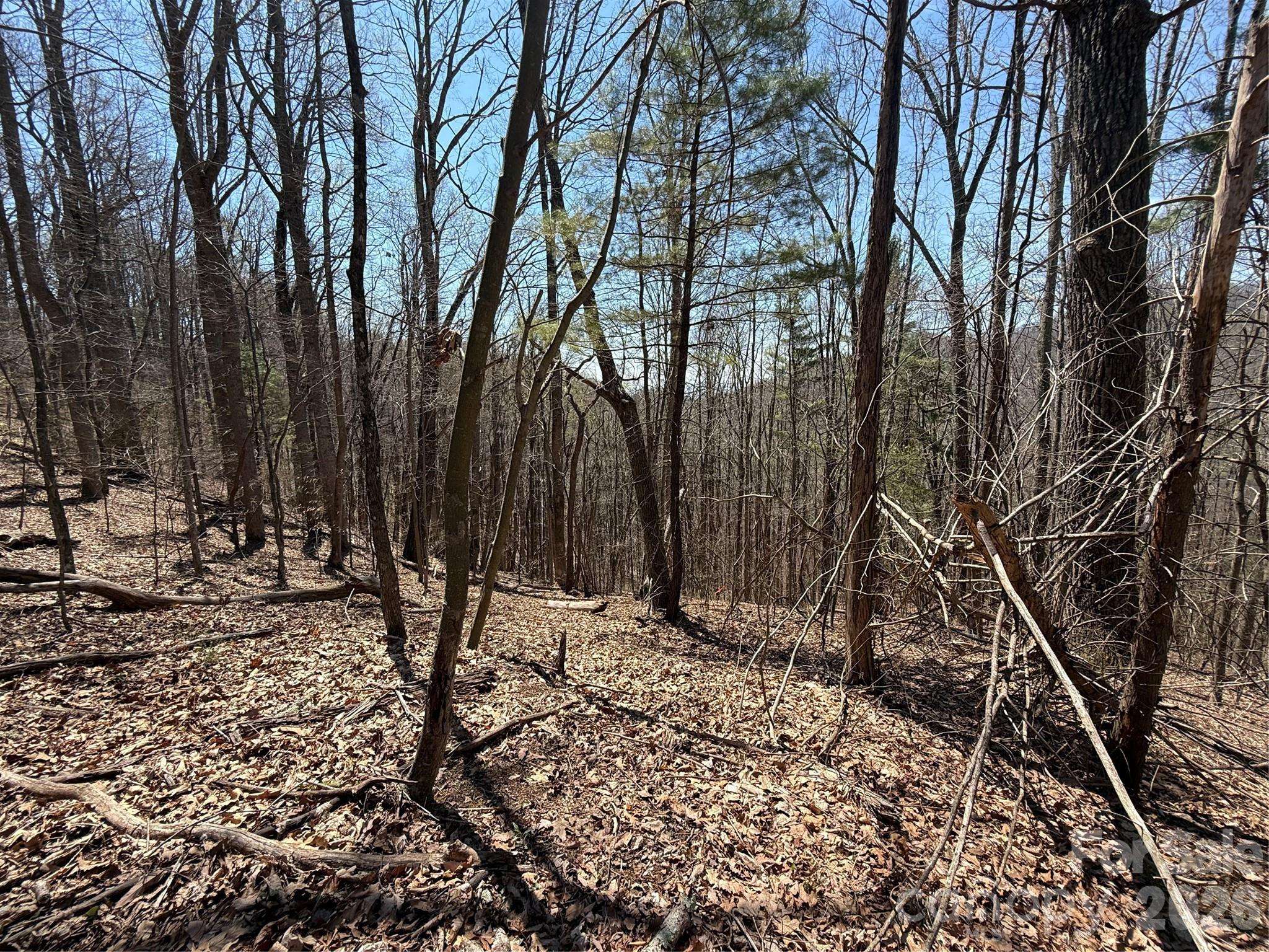 000 Granny Shepherd RD #Lot 2, Mars Hill, NC 2875497
