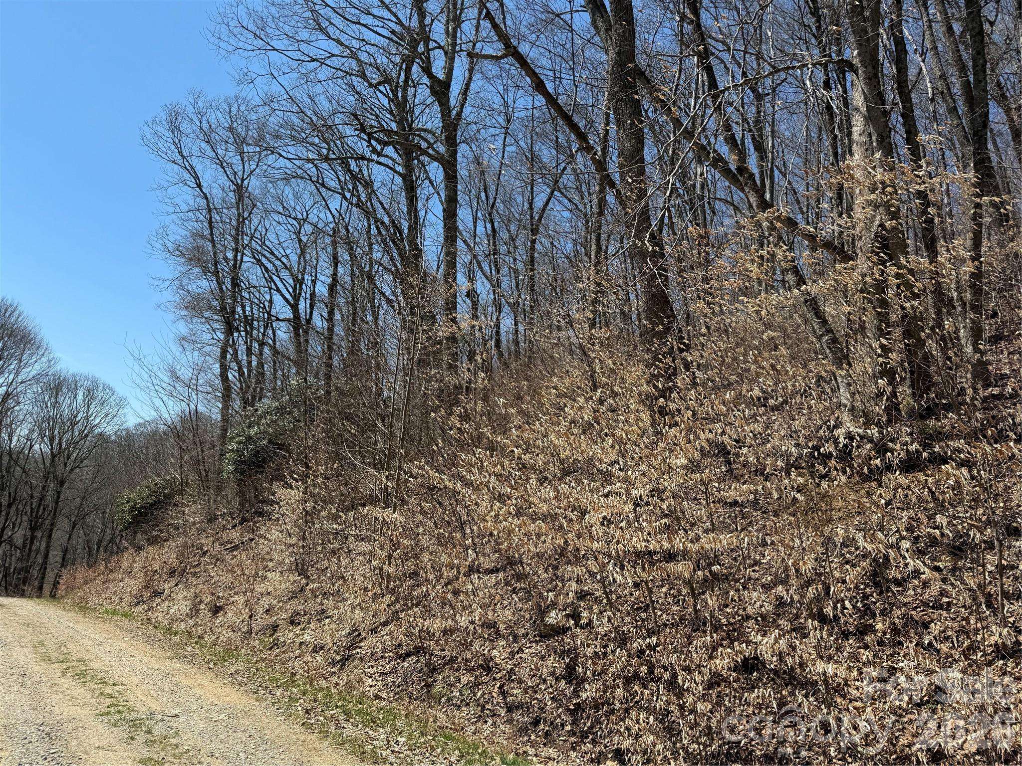 000 Granny Shepherd RD #Lot 2, Mars Hill, NC 2875497